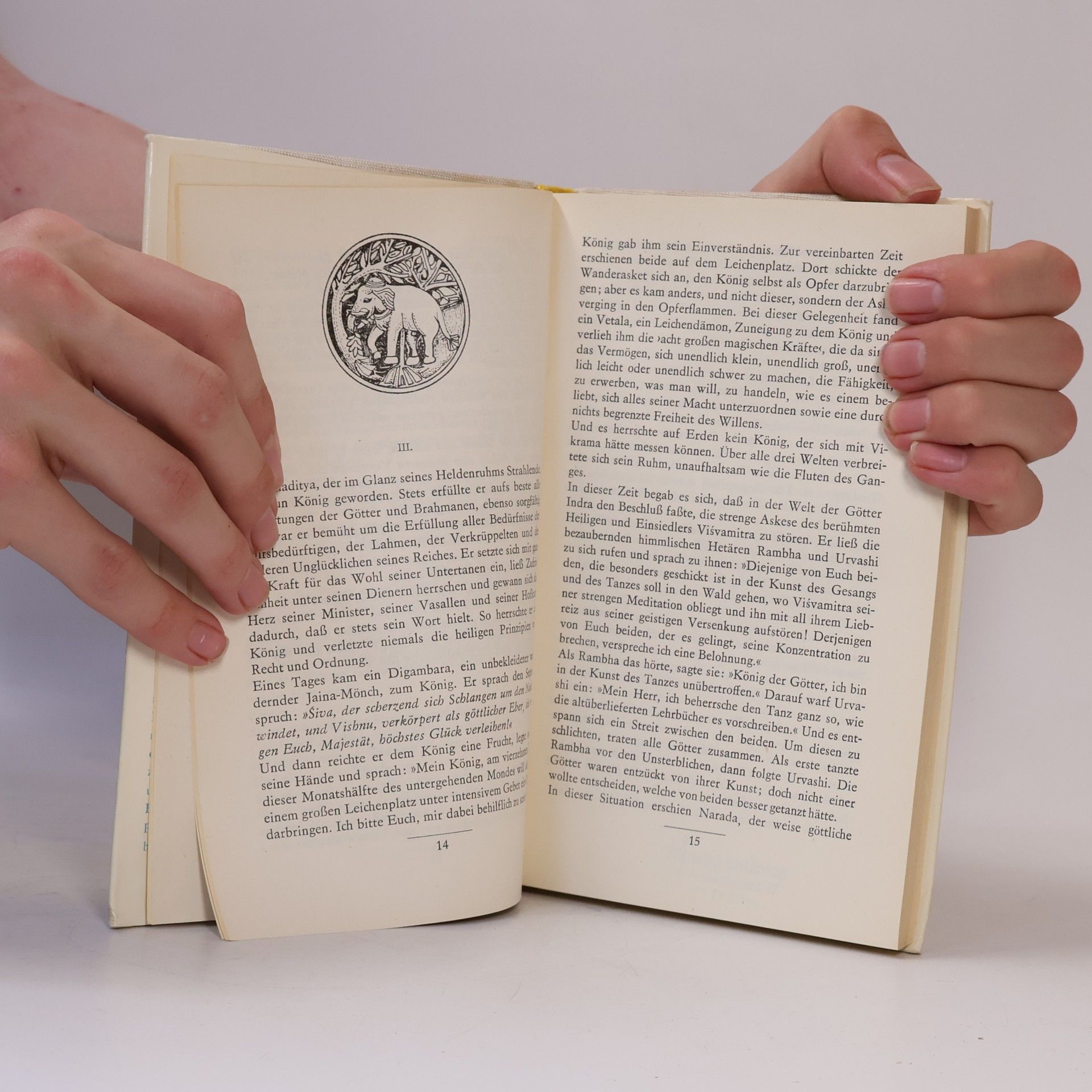 Autorenkollektiv Der Löwenthron