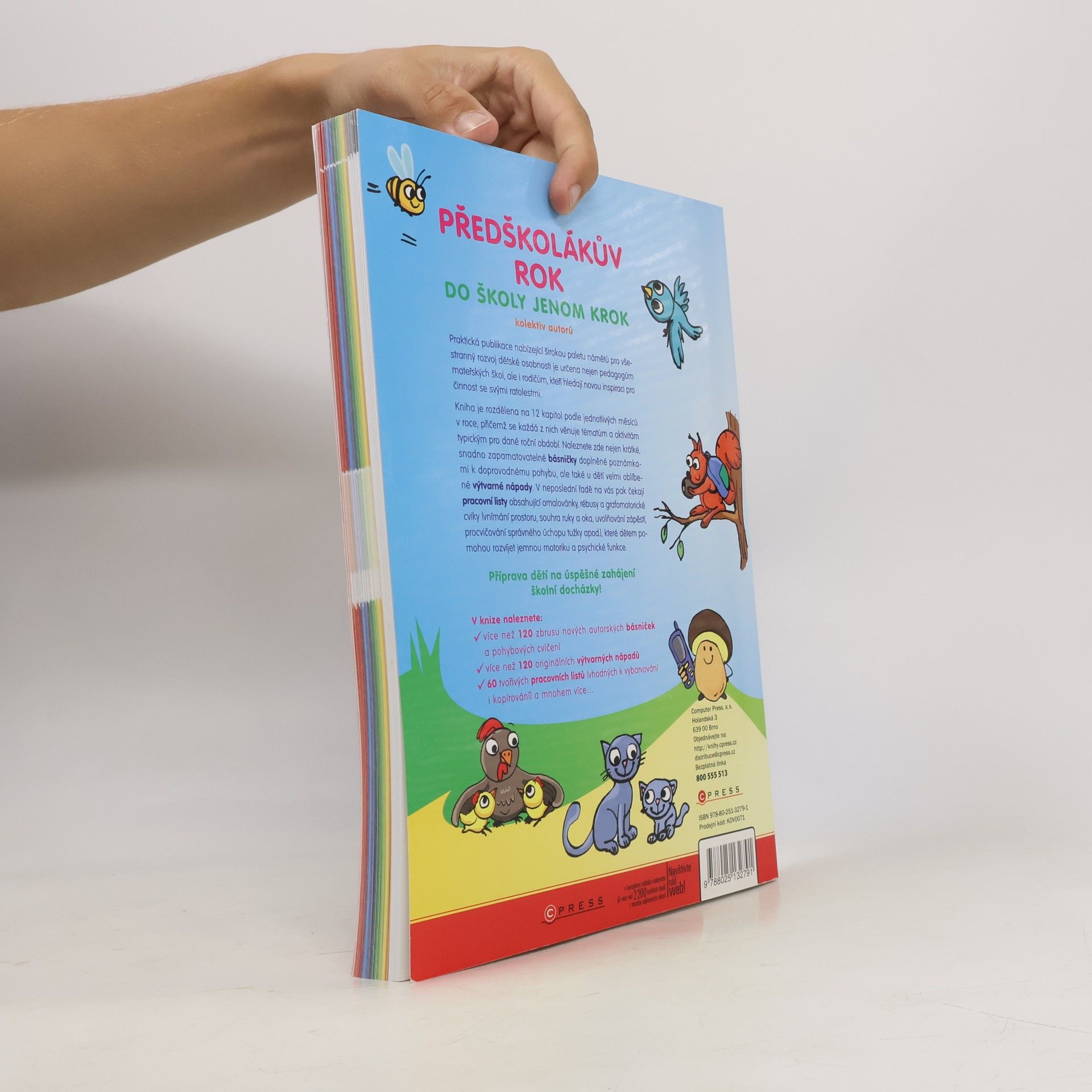 Autorenkollektiv Předškolákův rok - do školy jenom krok