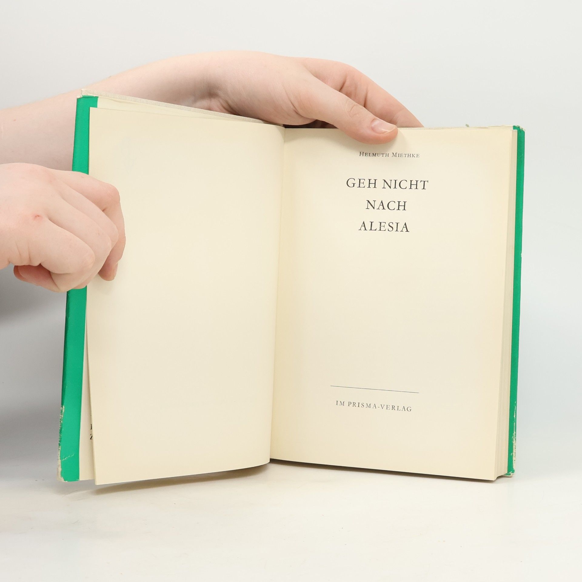 Helmuth Miethke Geh nicht nach Alesia