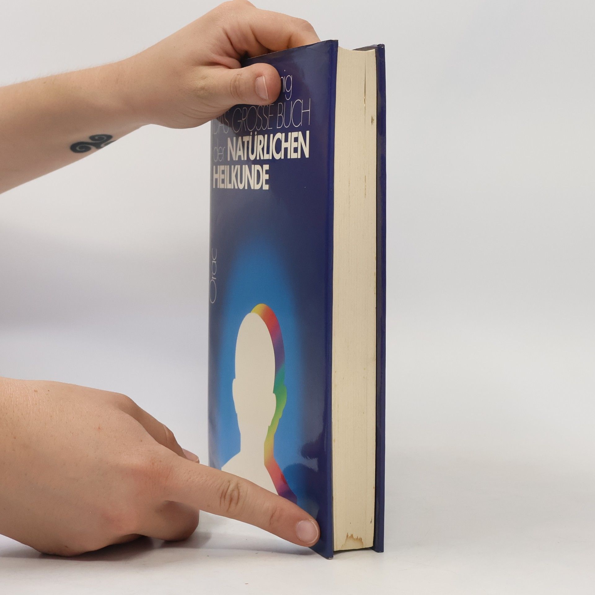 Ulf Böhmig Das grosse Buch der natürlichen Heilkunde