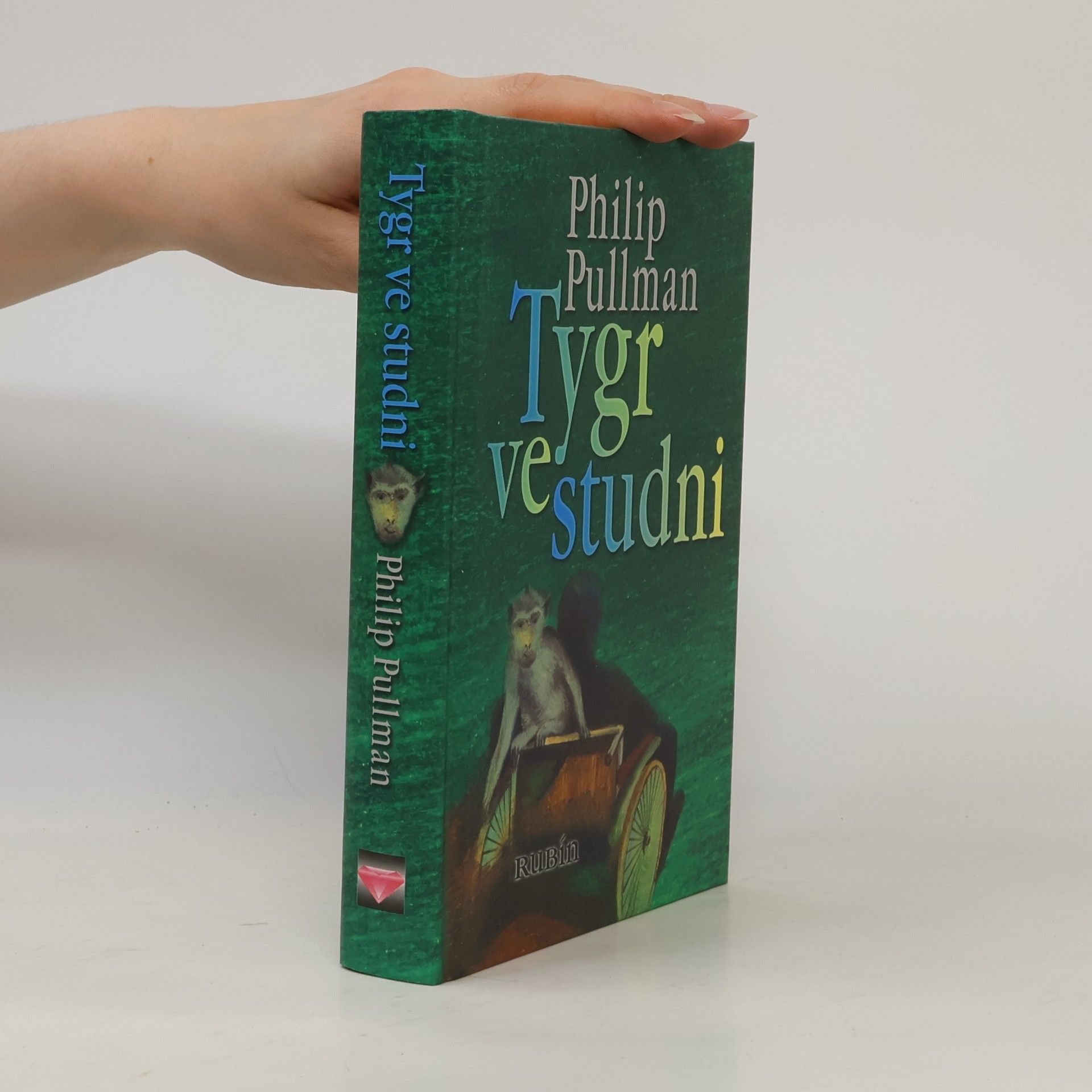 Philip Pullman Tygr ve studni