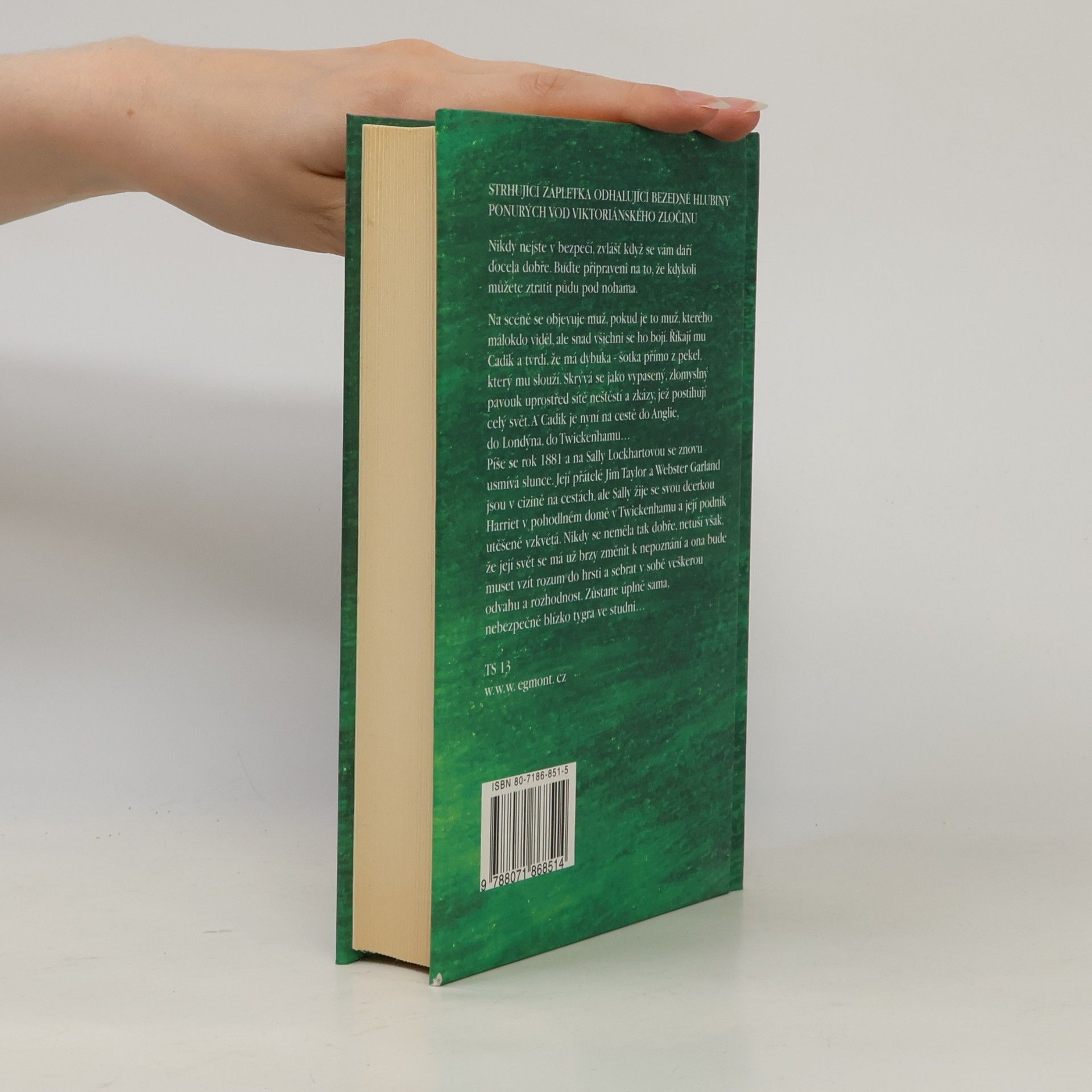 Philip Pullman Tygr ve studni