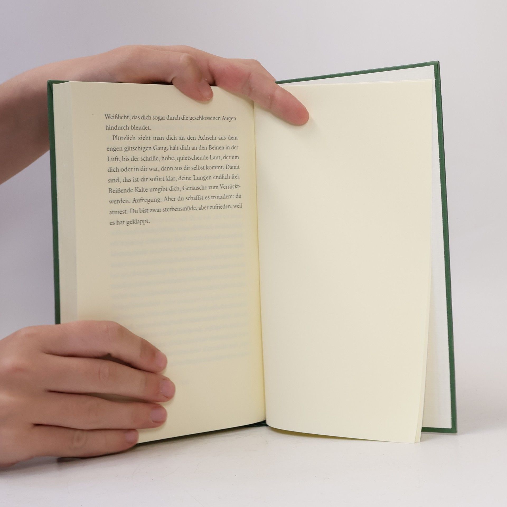 Margit Schreiner Buch der Enttäuschungen