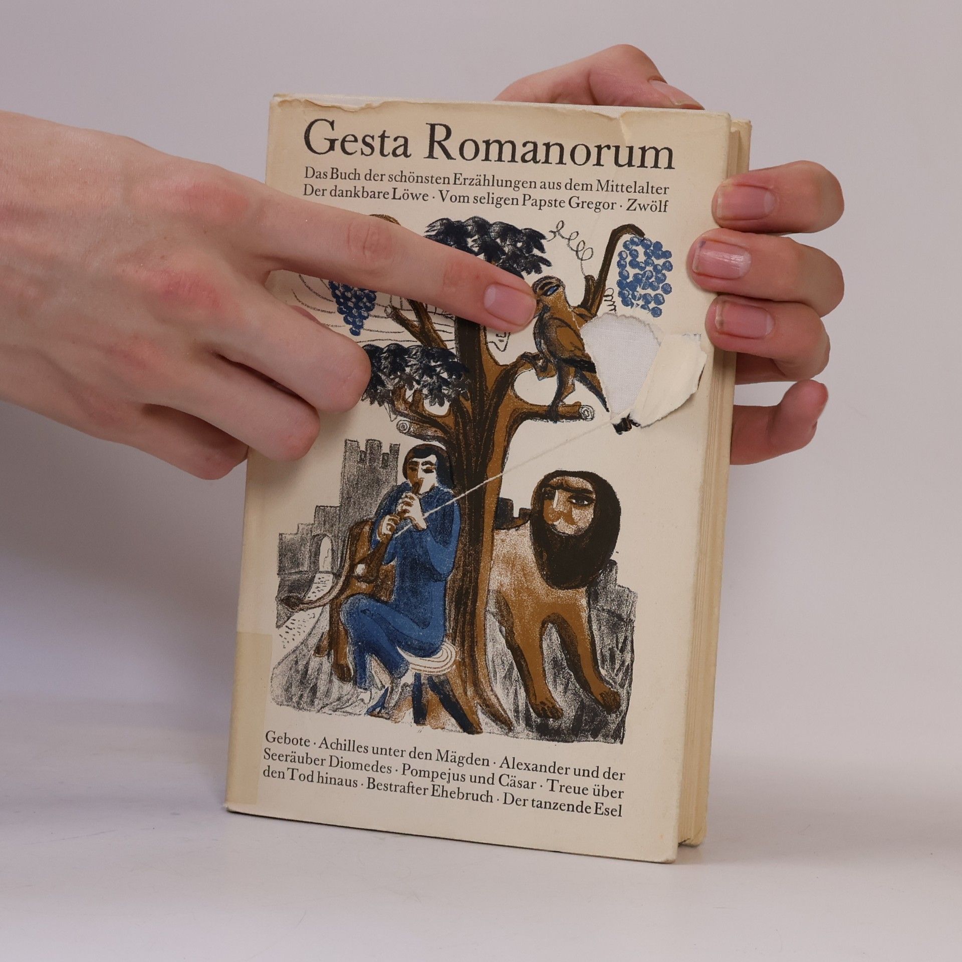 Johannes Schneider Gesta Romanorum