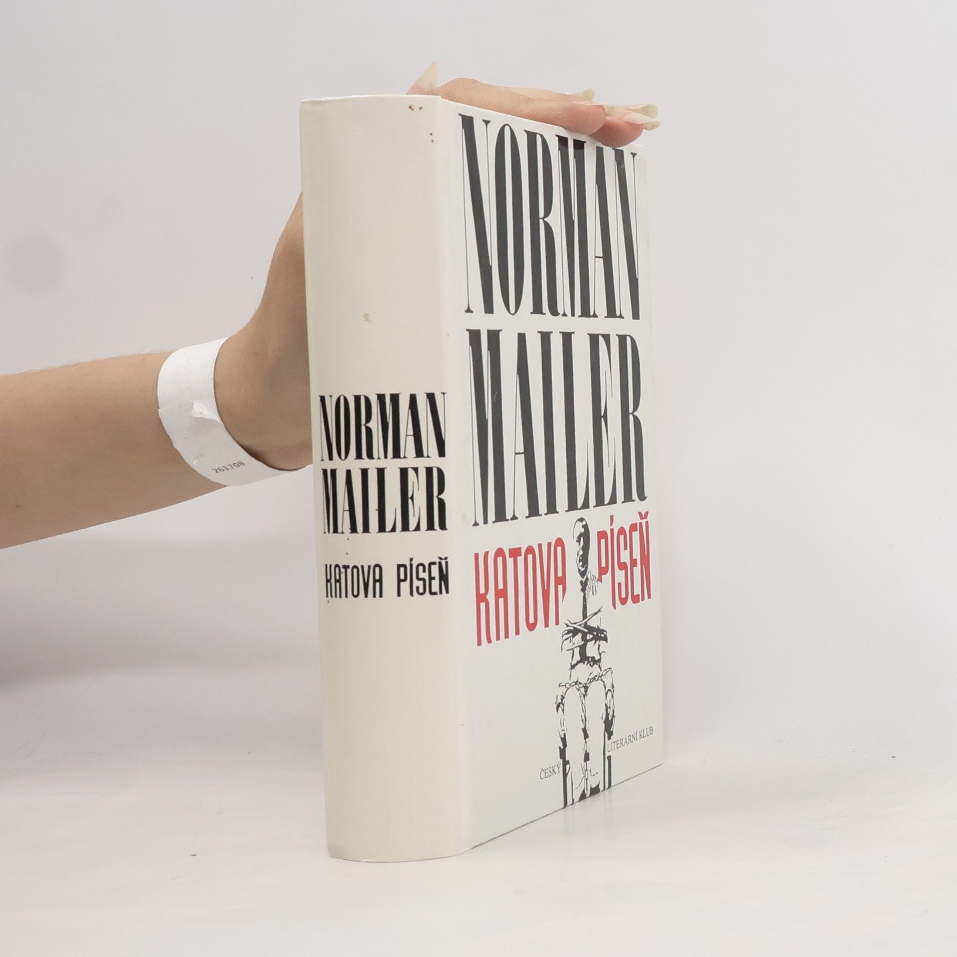 Norman Mailer Katova píseň