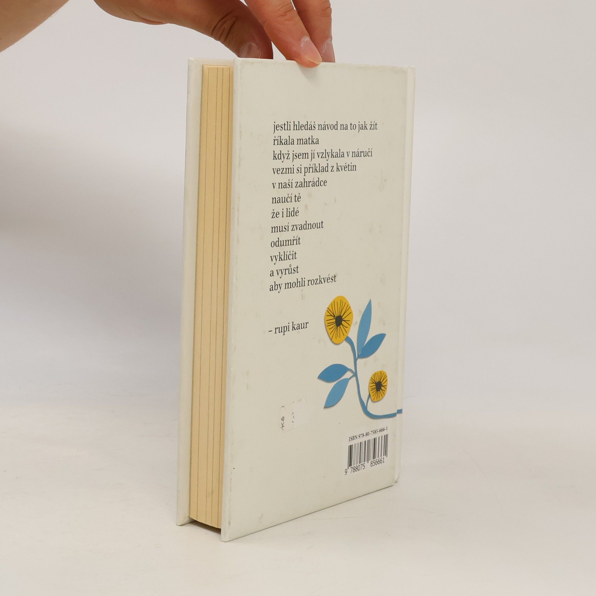 Rupi Kaur Květy slunce