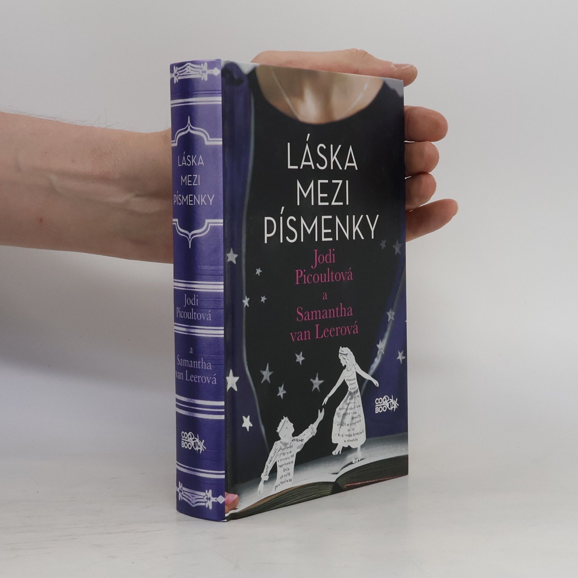 Jodi Picoult Láska mezi písmenky