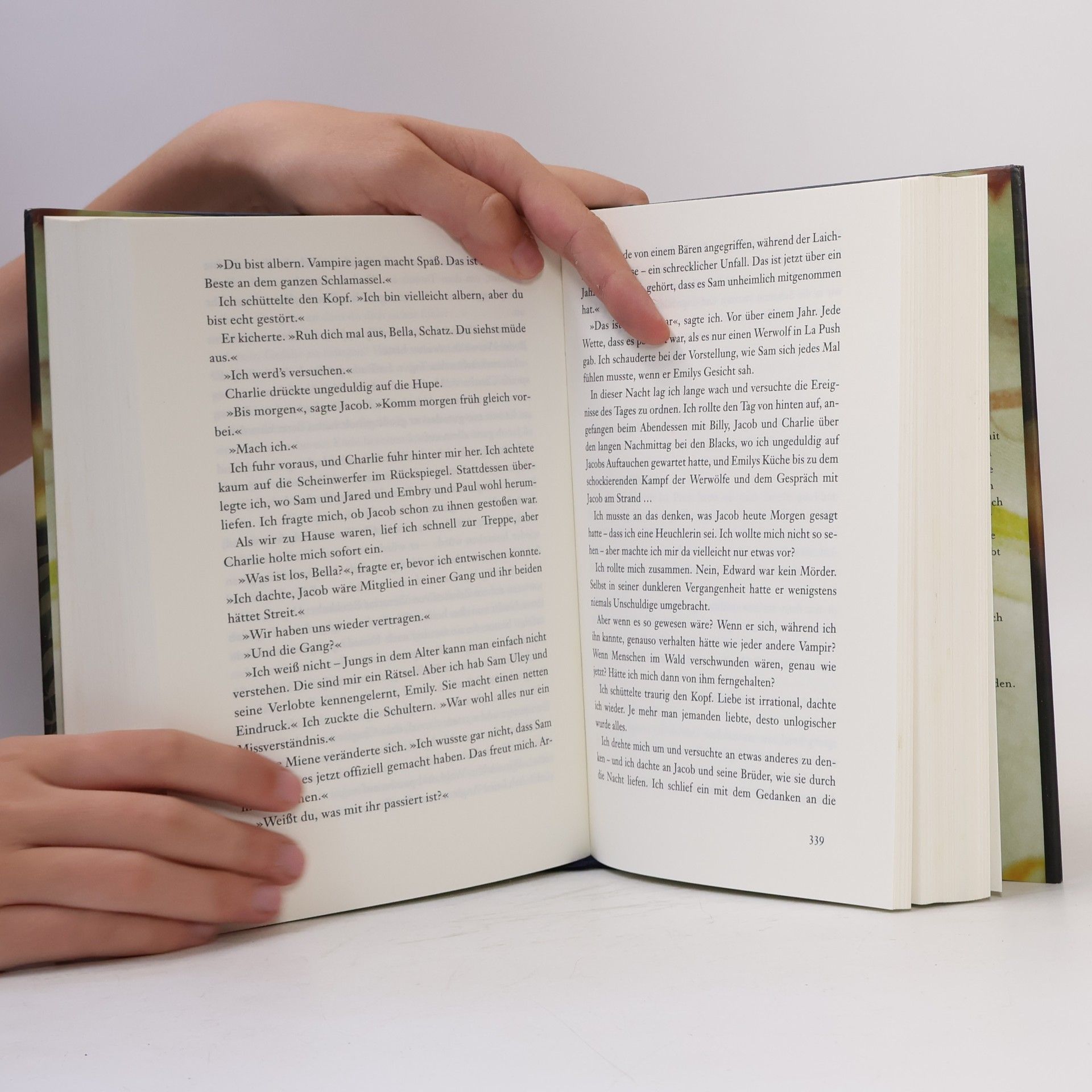 Stephenie Meyer Biss zur Mittagsstunde