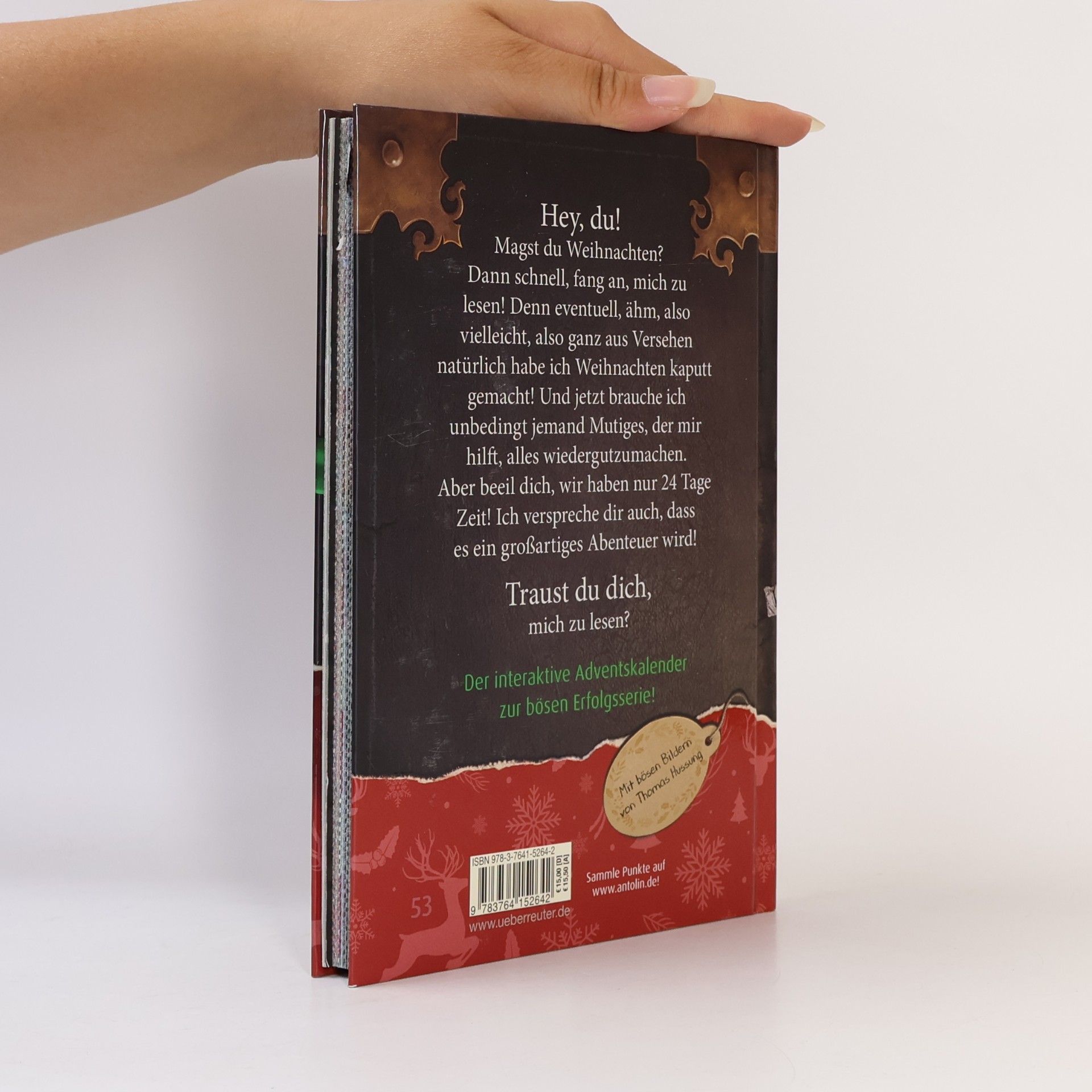 Magnnus Myst Das kleine Böse Buch - Adventskalender (Das kleine Böse Buch)