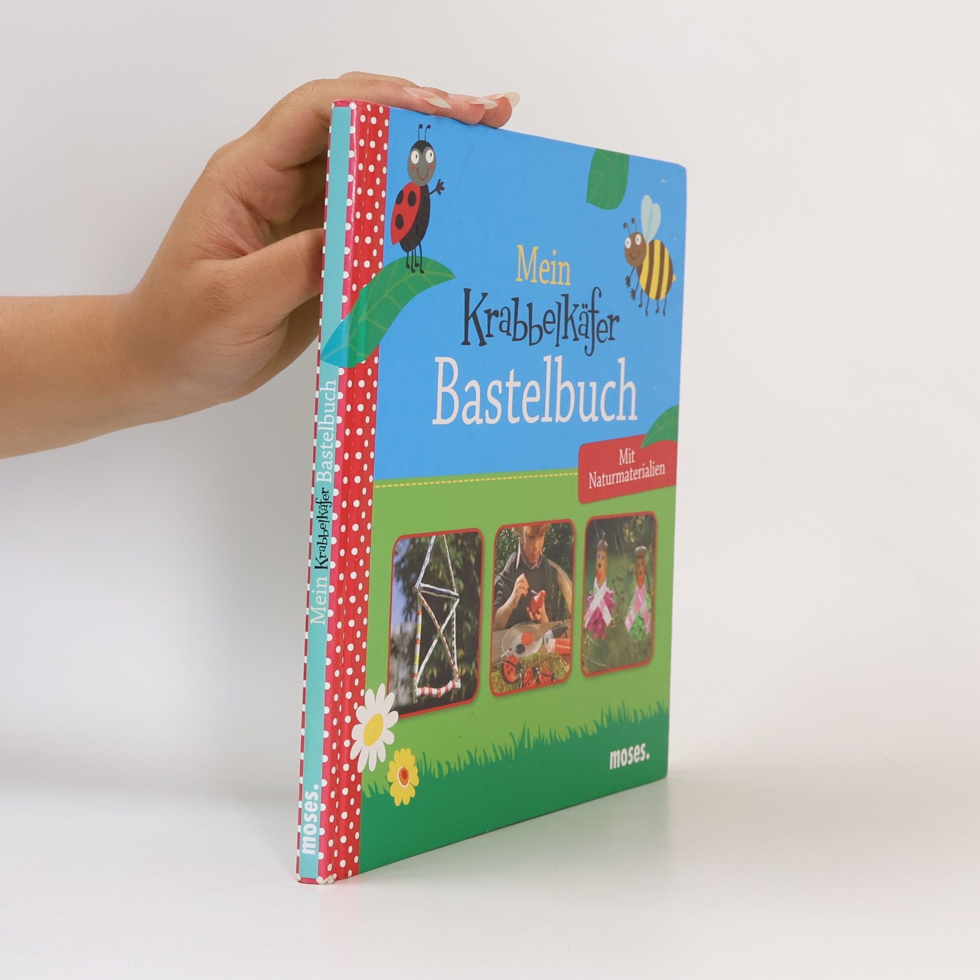 Mein Krabbelkäfer-Bastelbuch