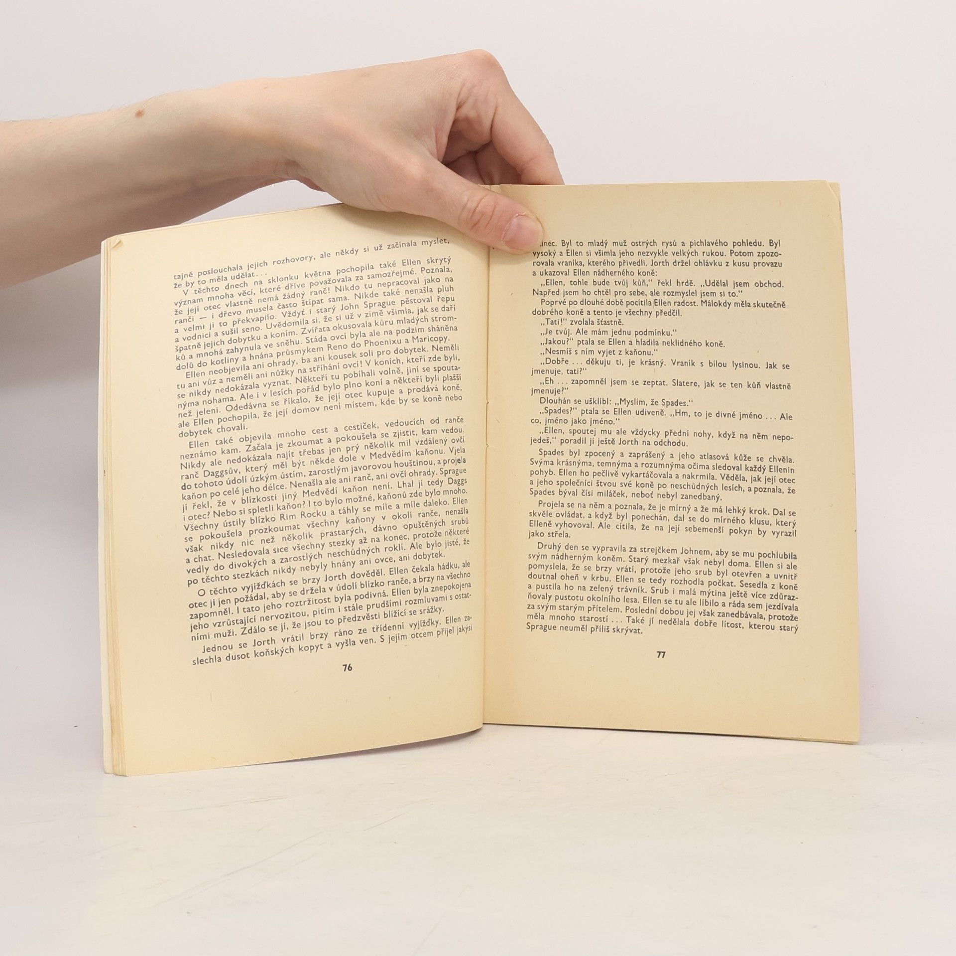 Zane Grey Do posledního muže II. 17