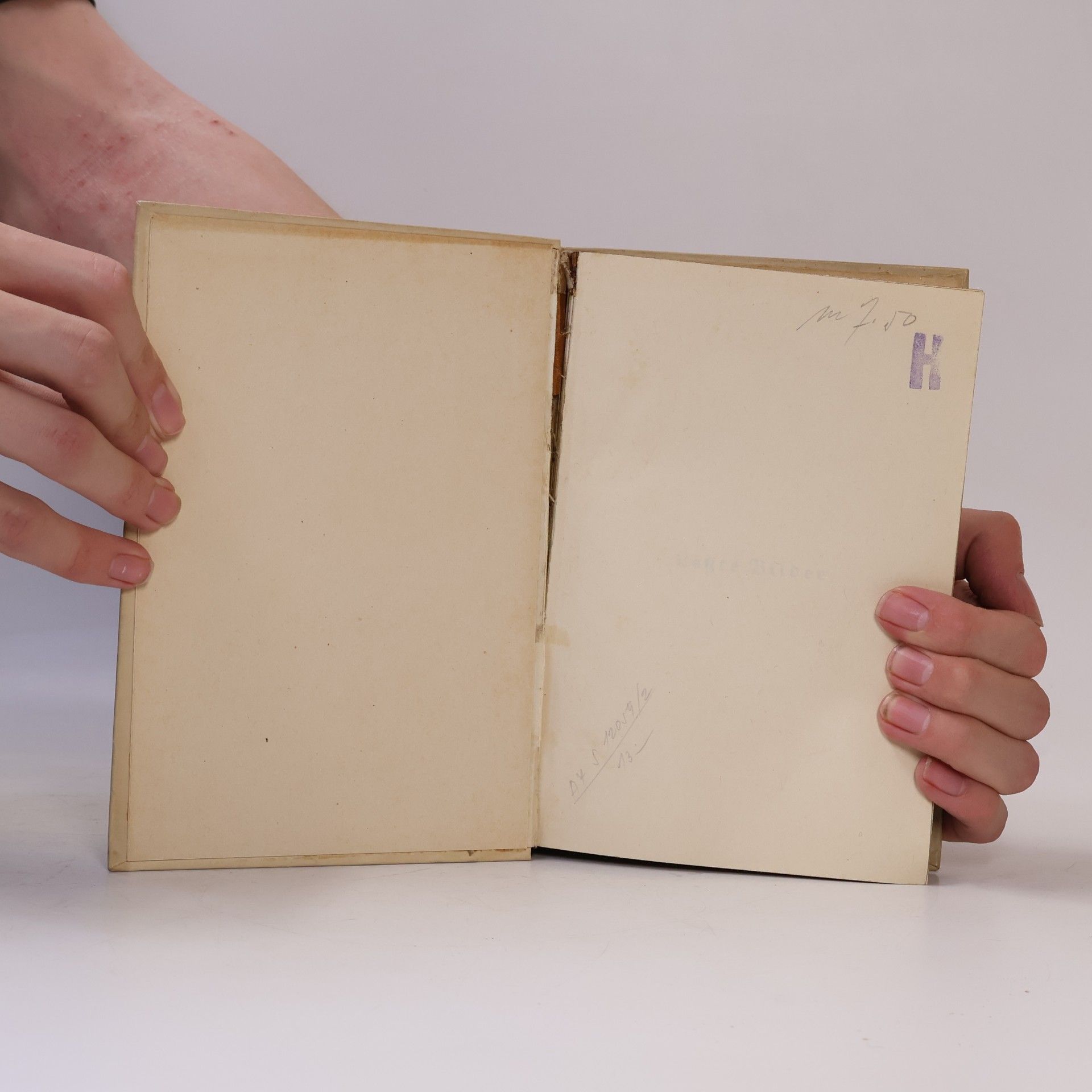 Herbert Gulenberg Letzte Bilder