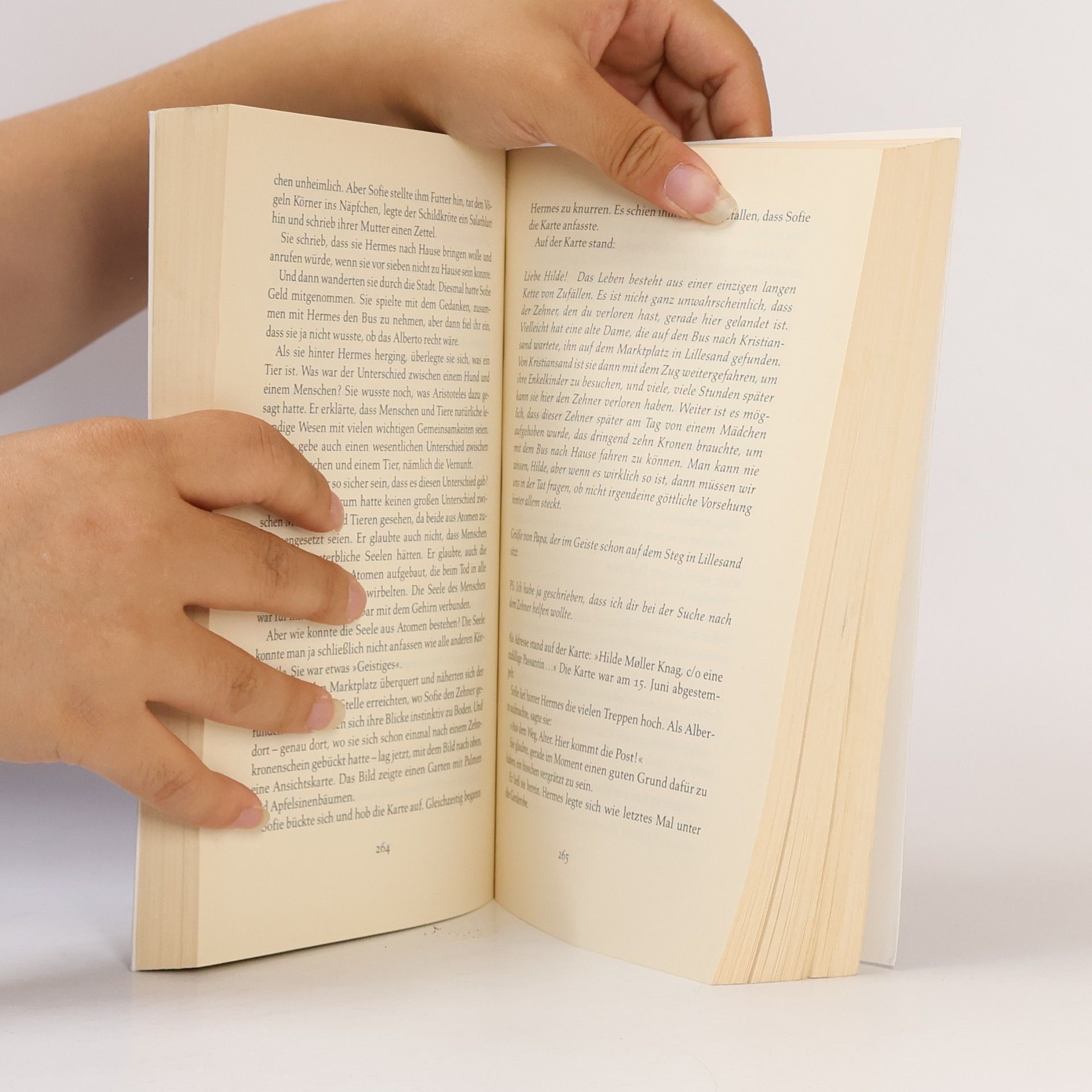 Jostein Gaarder Sofies Welt