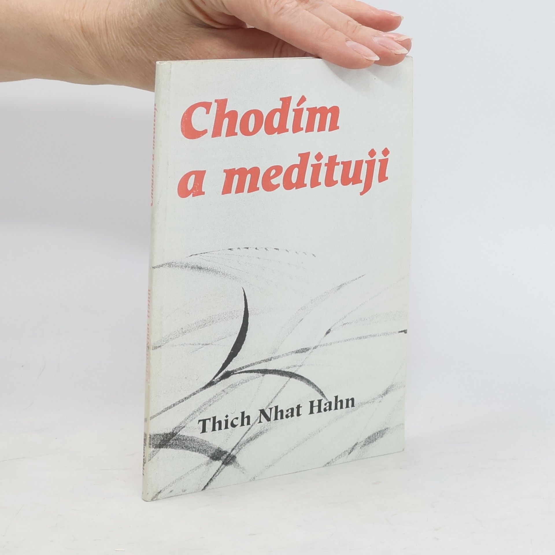 Thích Nhất Hạnh Chodím a medituji
