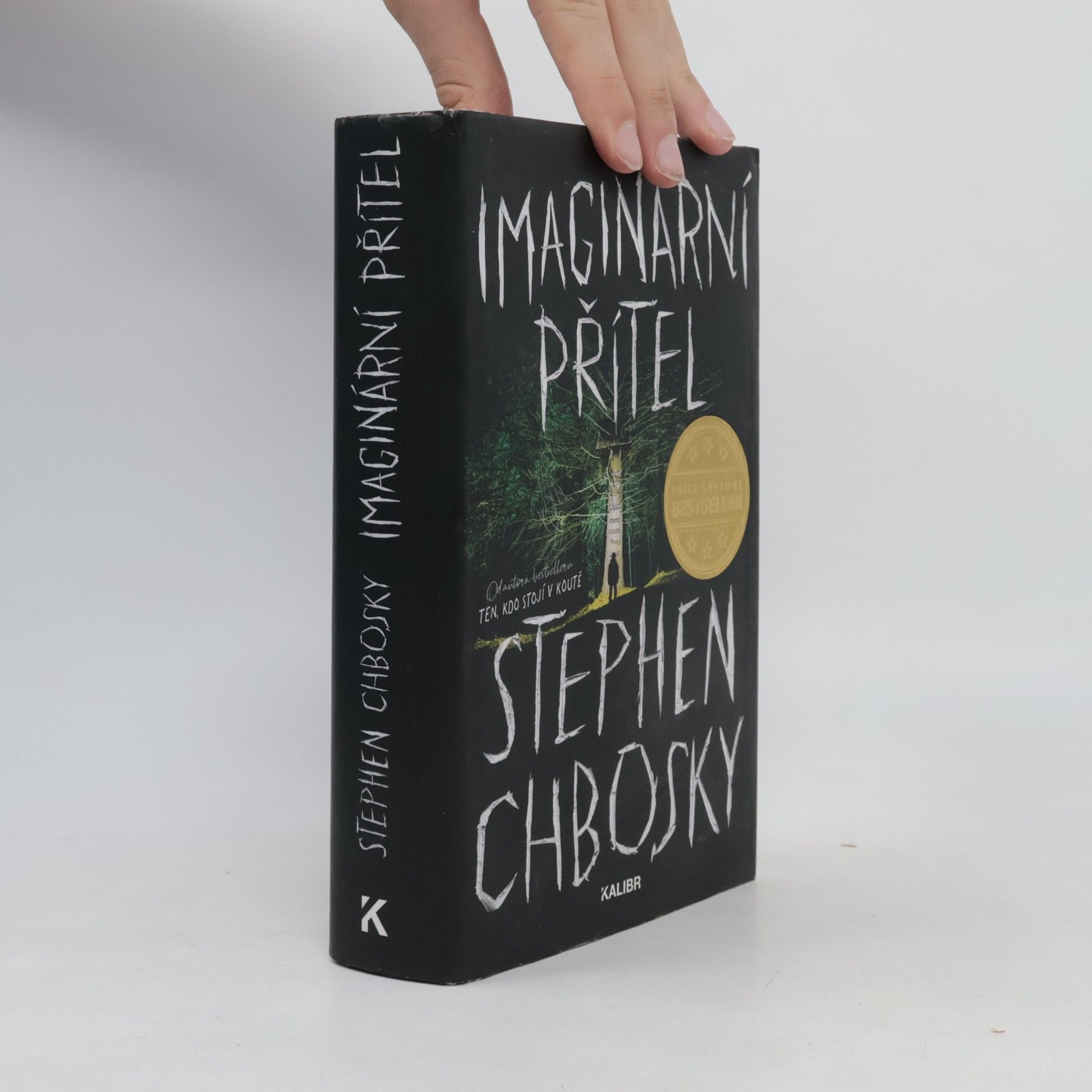 Stephen Chbosky Imaginární přítel