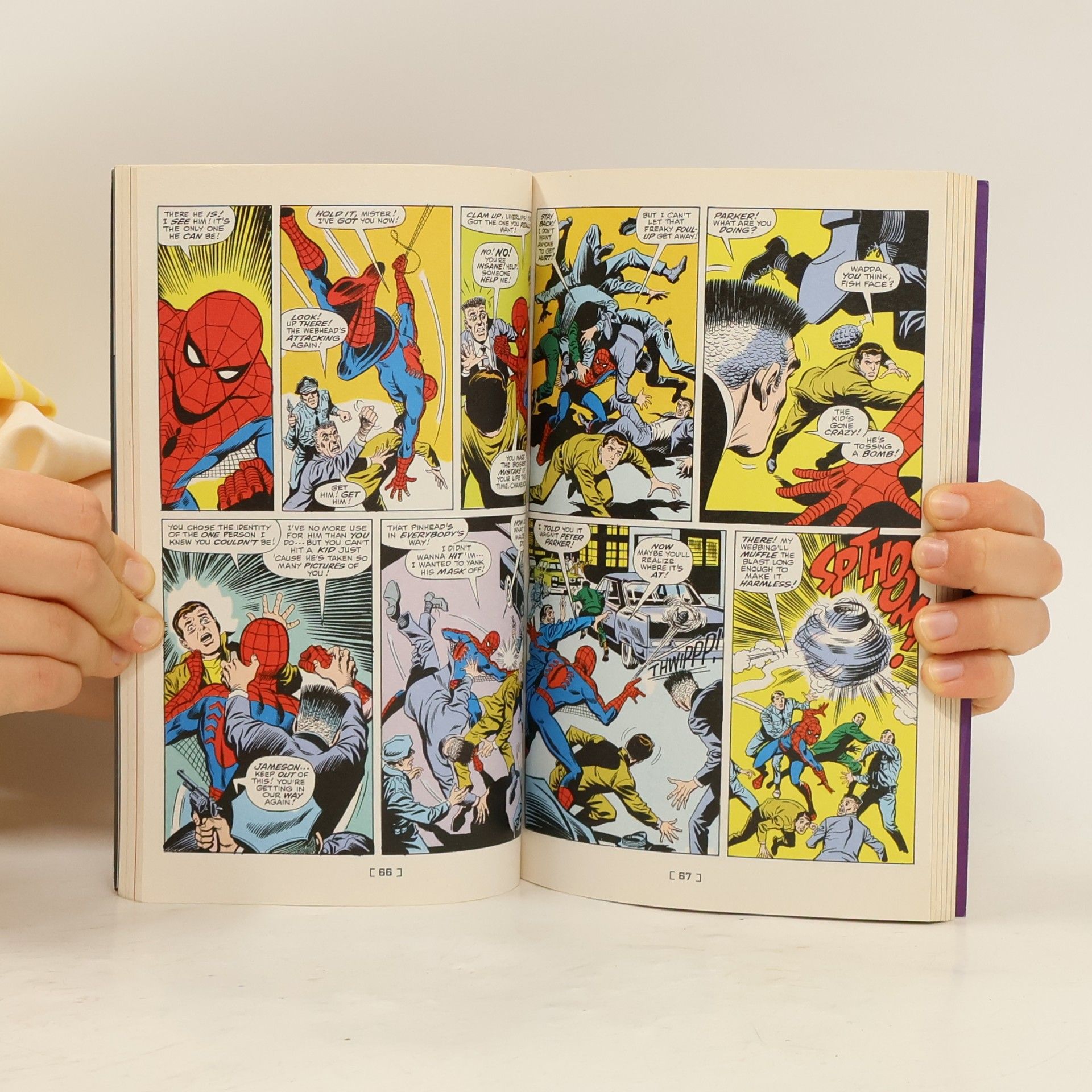 Stan Lee The Amazing Spider-Man Vol. 6