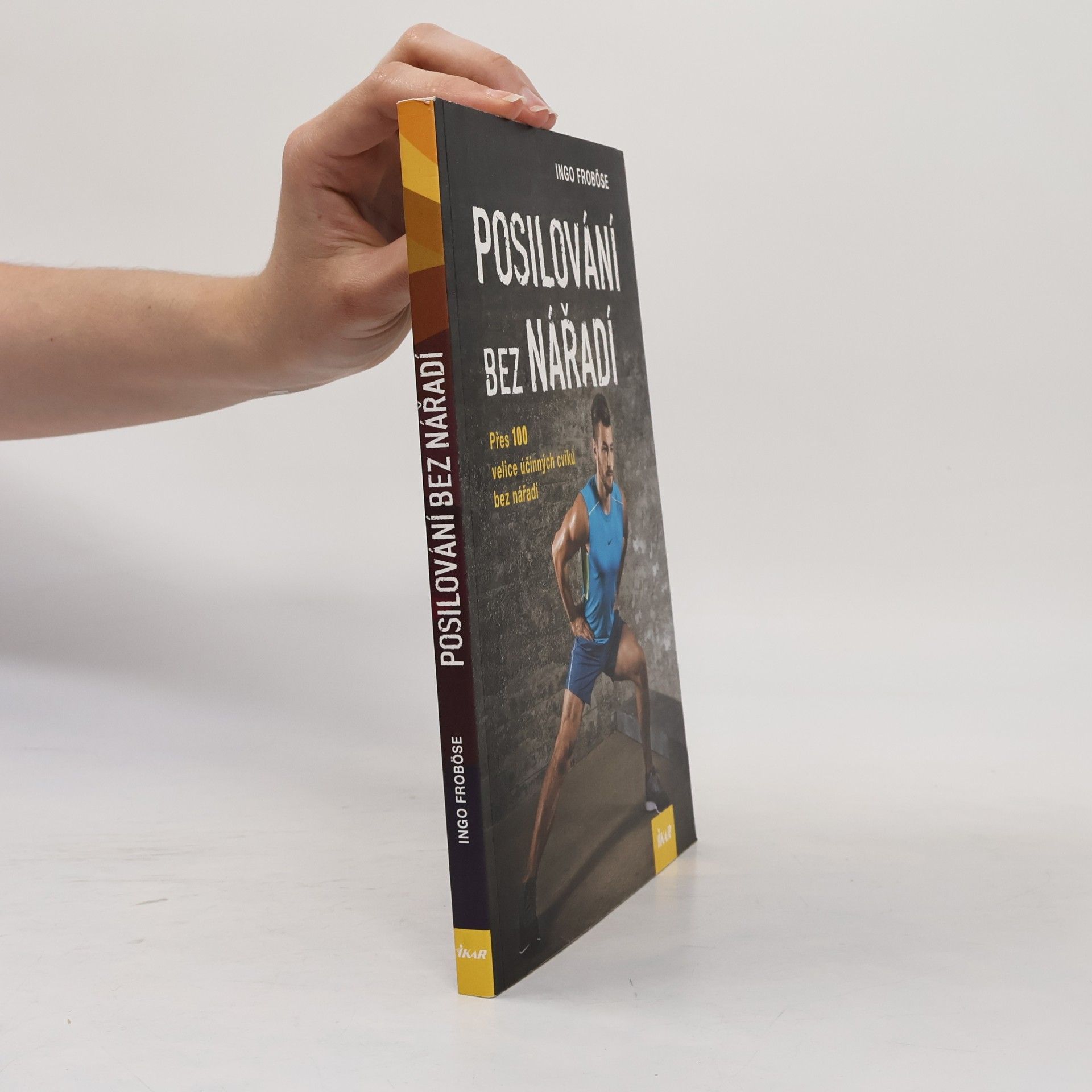Ingo Froböse Posilování bez nářadí