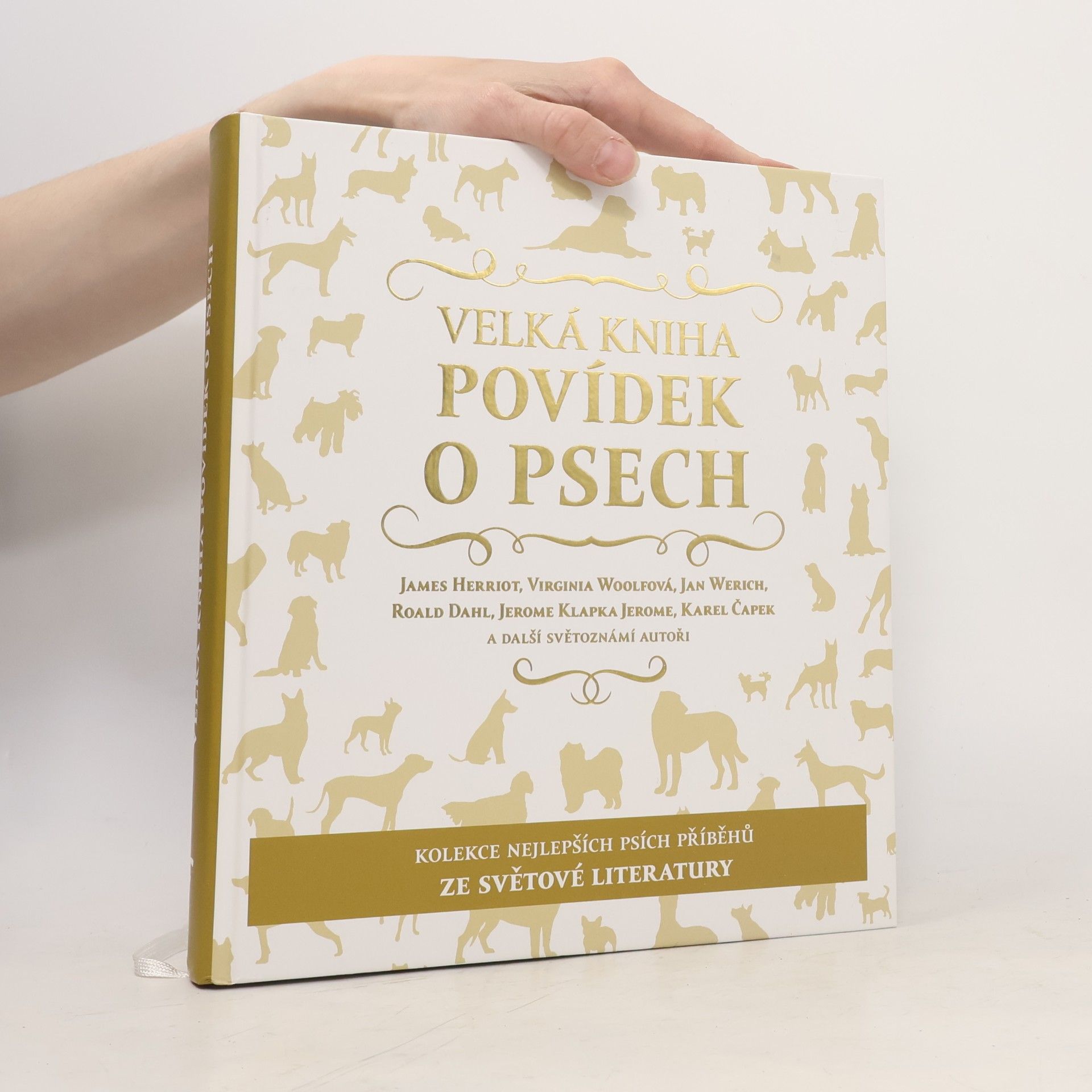 Autorenkollektiv Velká kniha povídek o psech