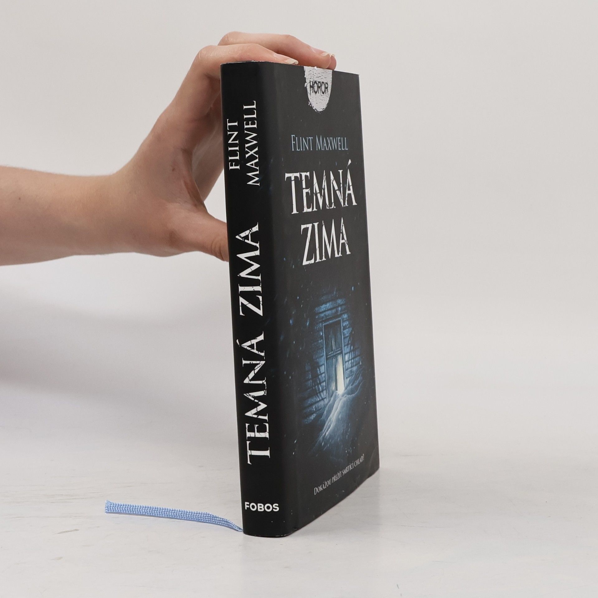 Flint Maxwell Temná zima