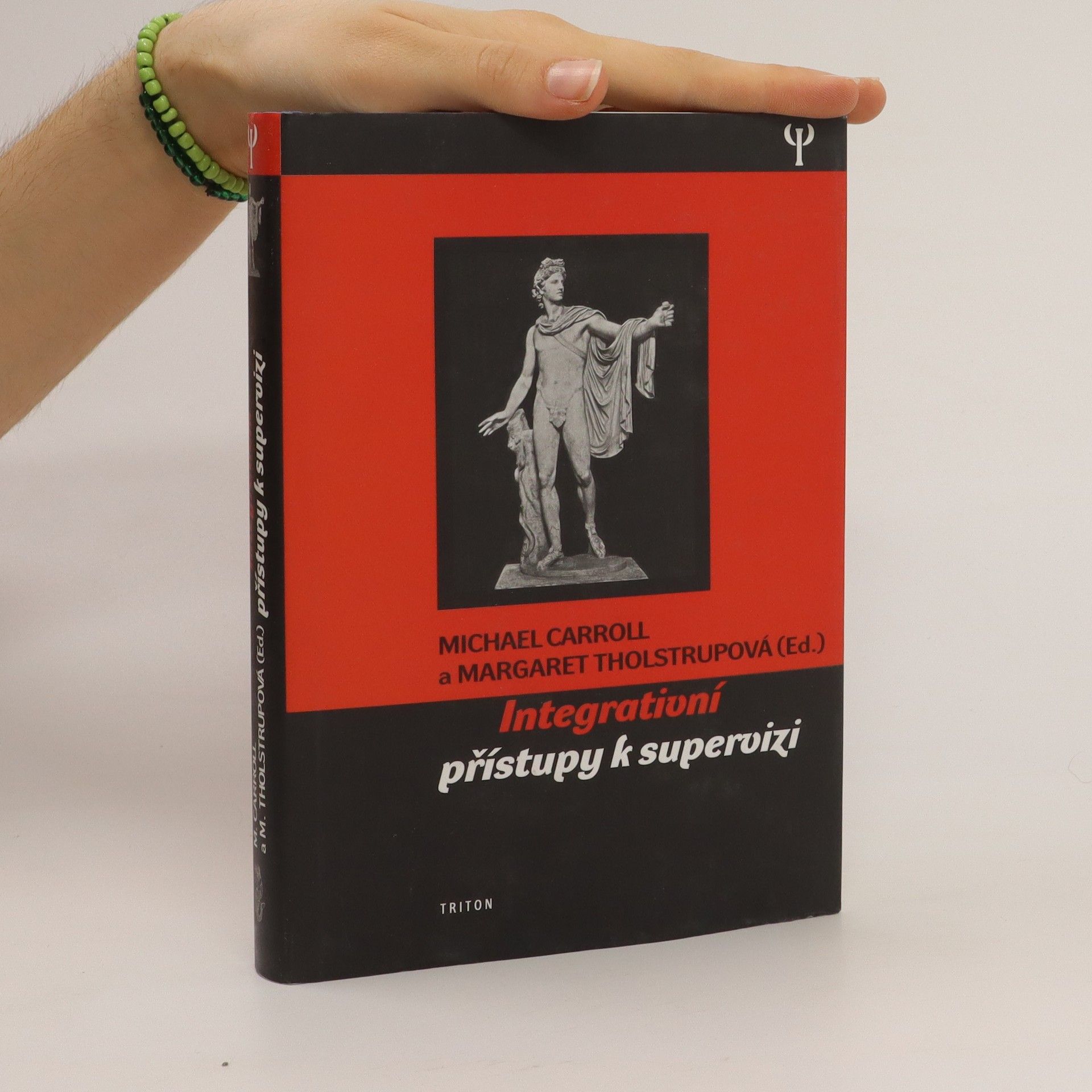 Michael Carroll Integrativní přístupy k supervizi
