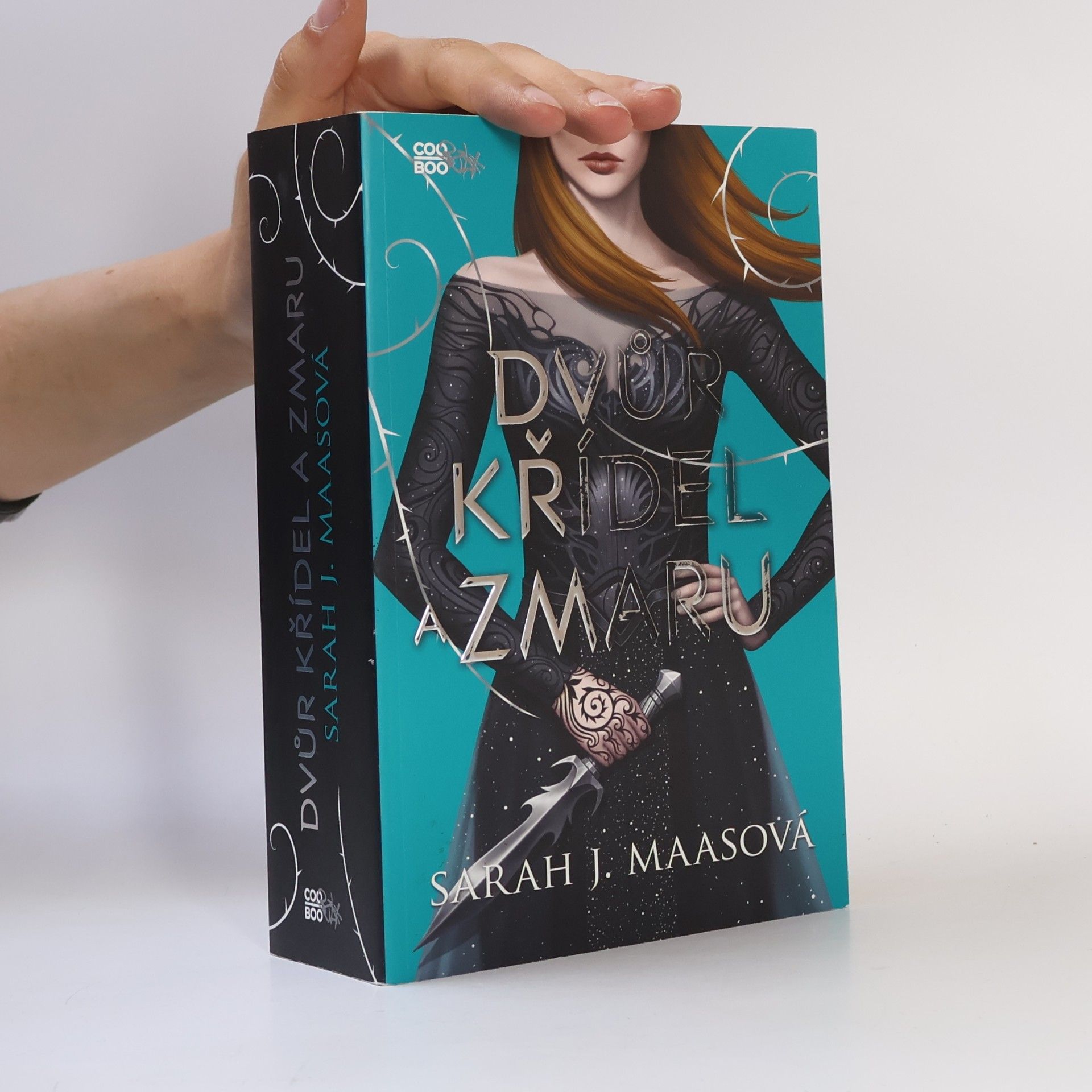 Sarah J. Maas Dvůr křídel a zmaru