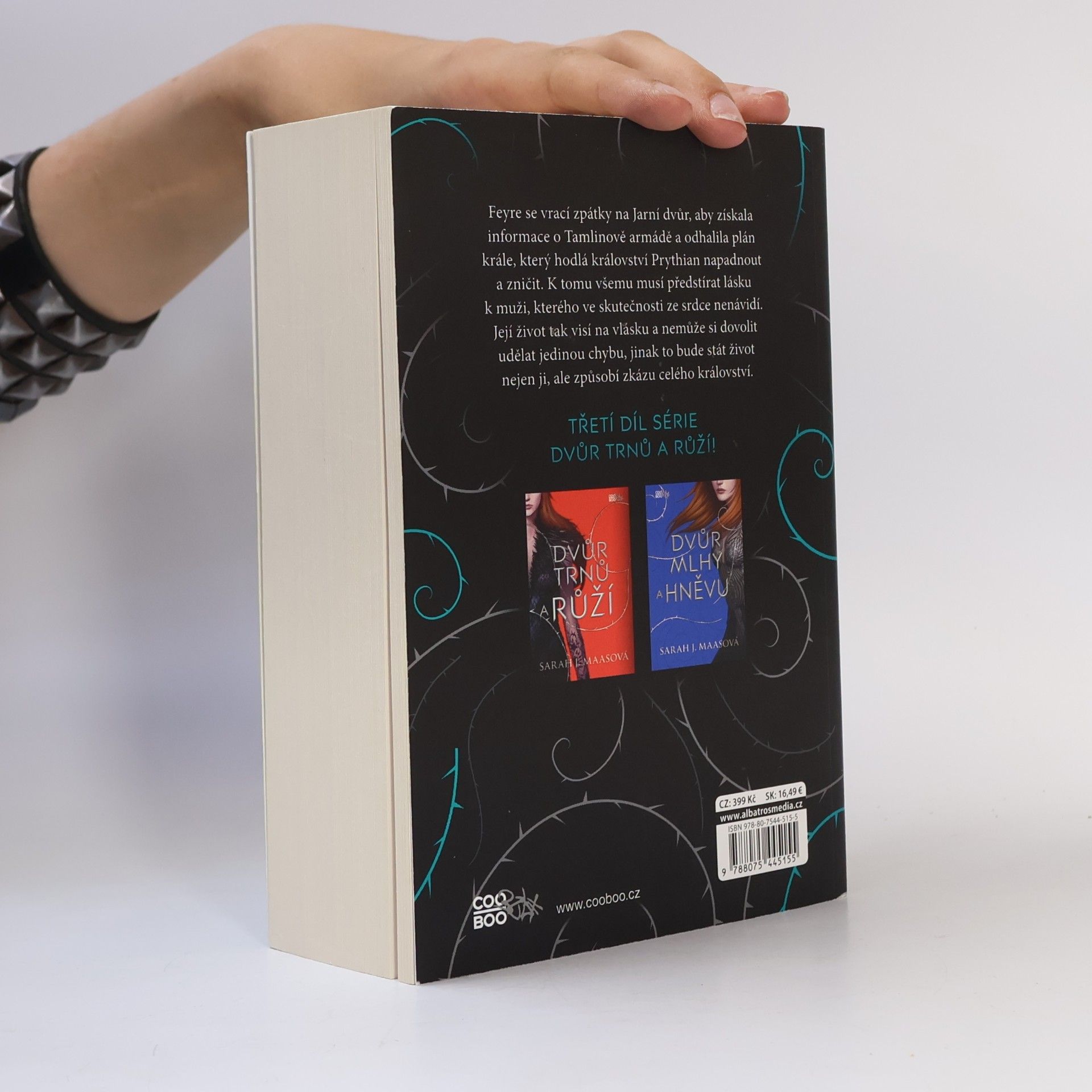 Sarah J. Maas Dvůr křídel a zmaru