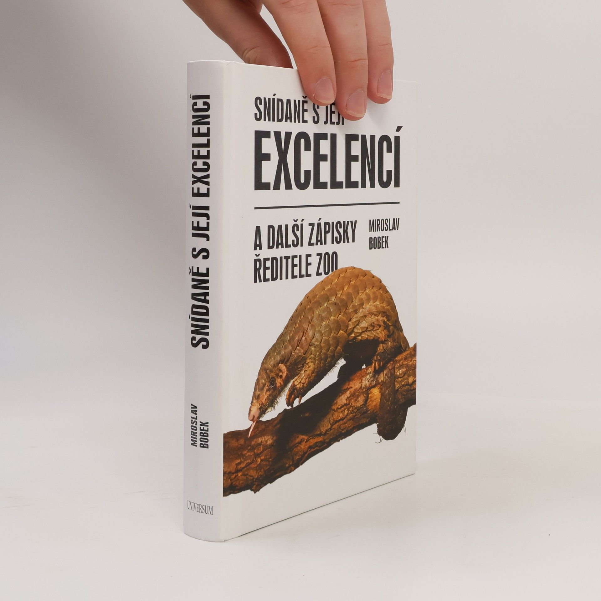 Miroslav Bobek Snídaně s její excelencí