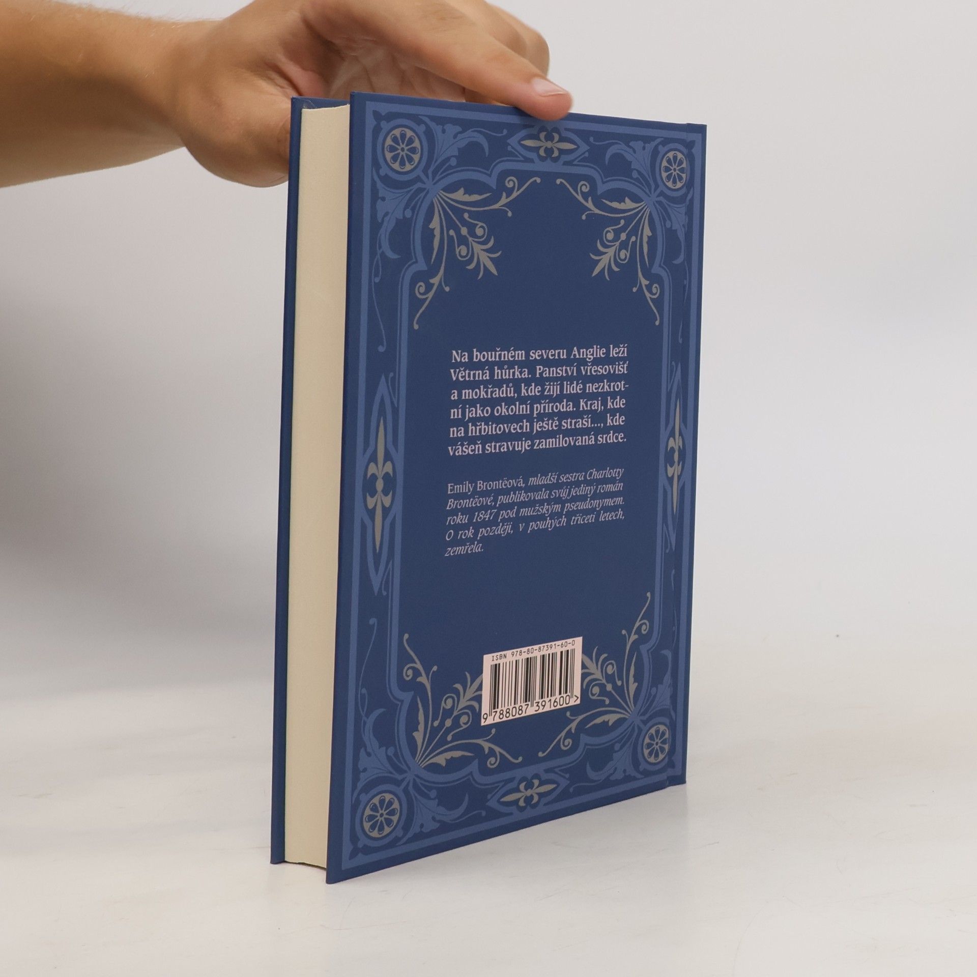Emily Brontë Na větrné hůrce