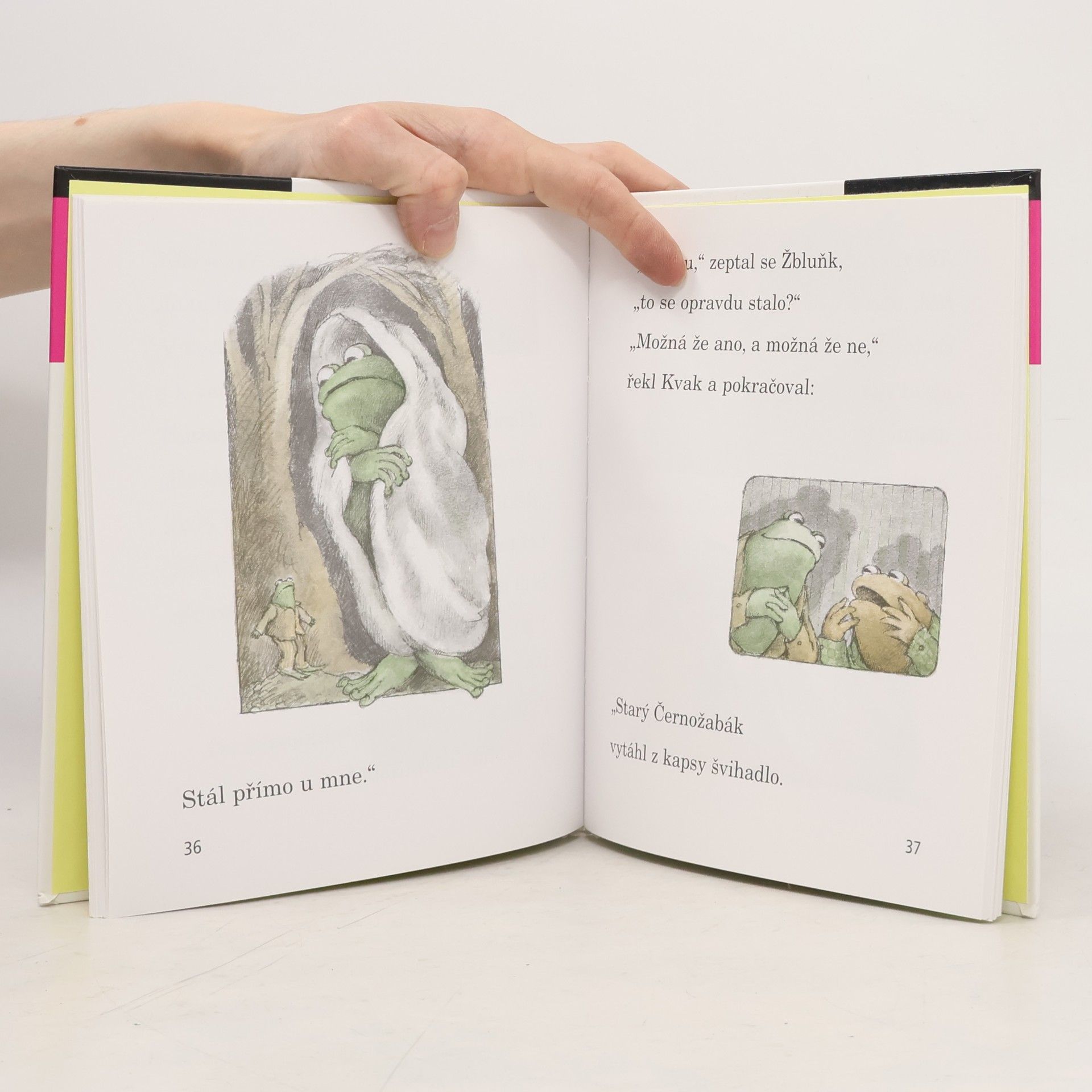 Arnold Lobel Kvak a Žbluňk se bojí rádi