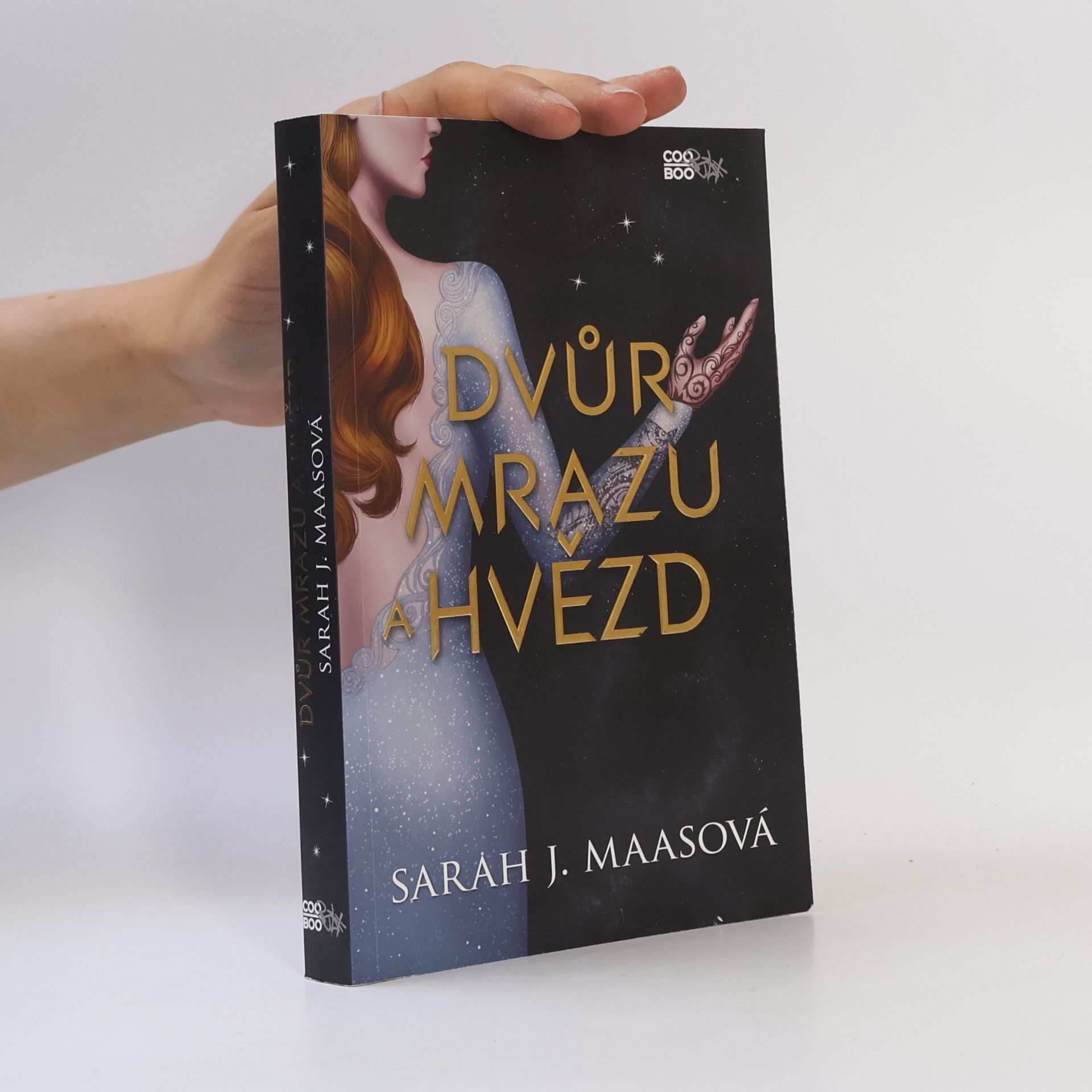 Sarah J. Maas Dvůr mrazu a hvězd