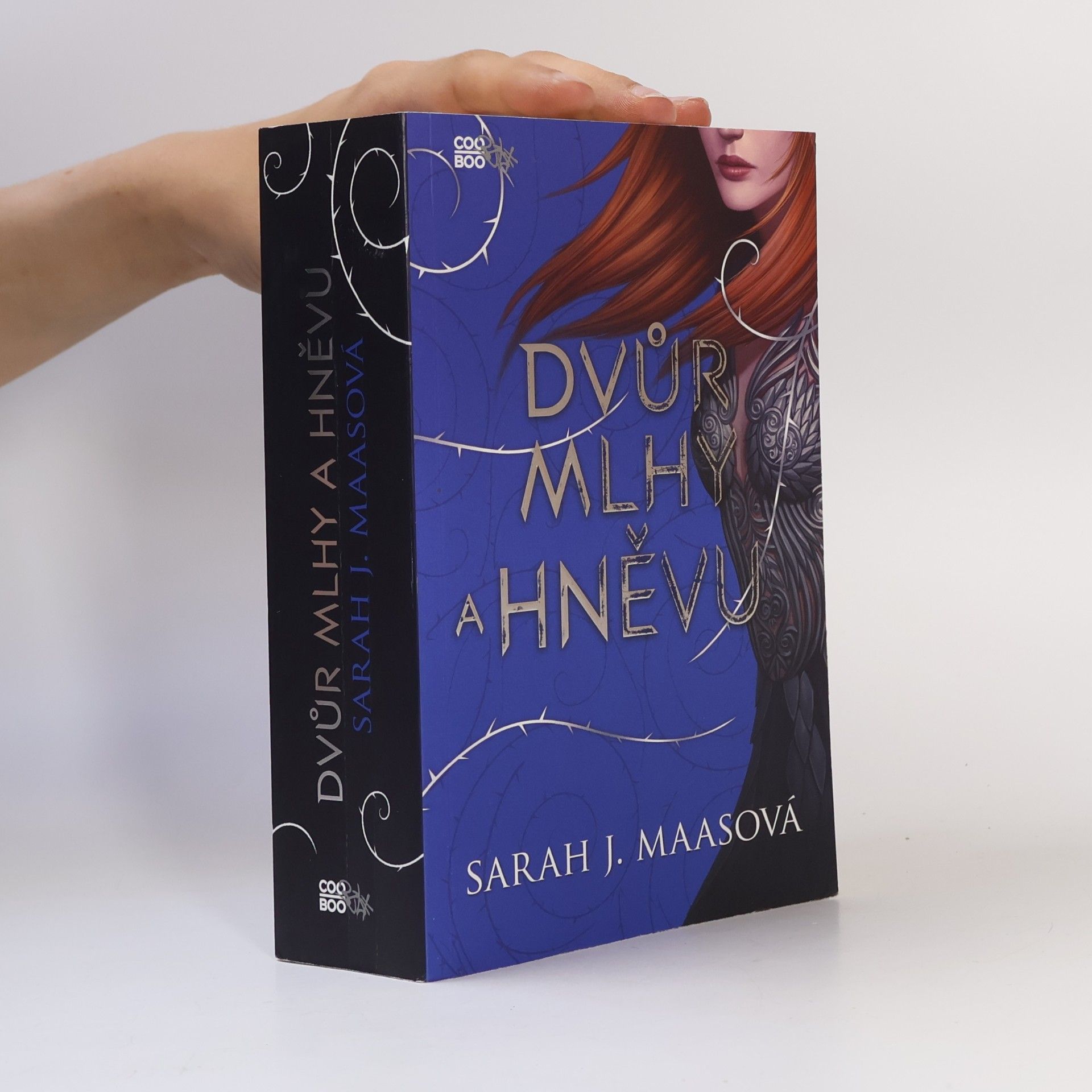 Sarah J. Maas Dvůr mlhy a hněvu