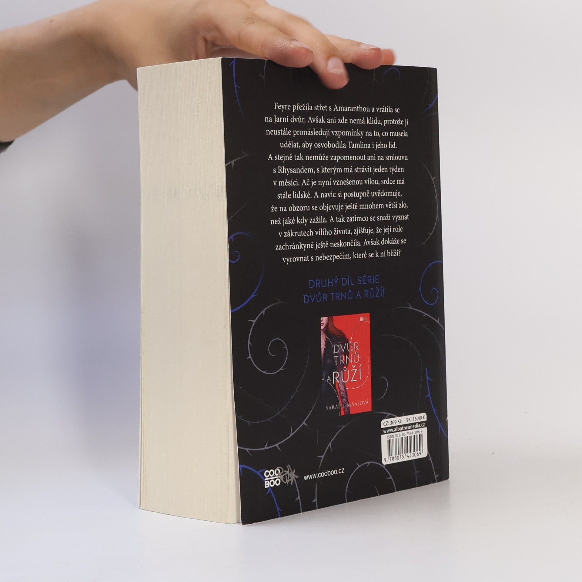 Sarah J. Maas Dvůr mlhy a hněvu