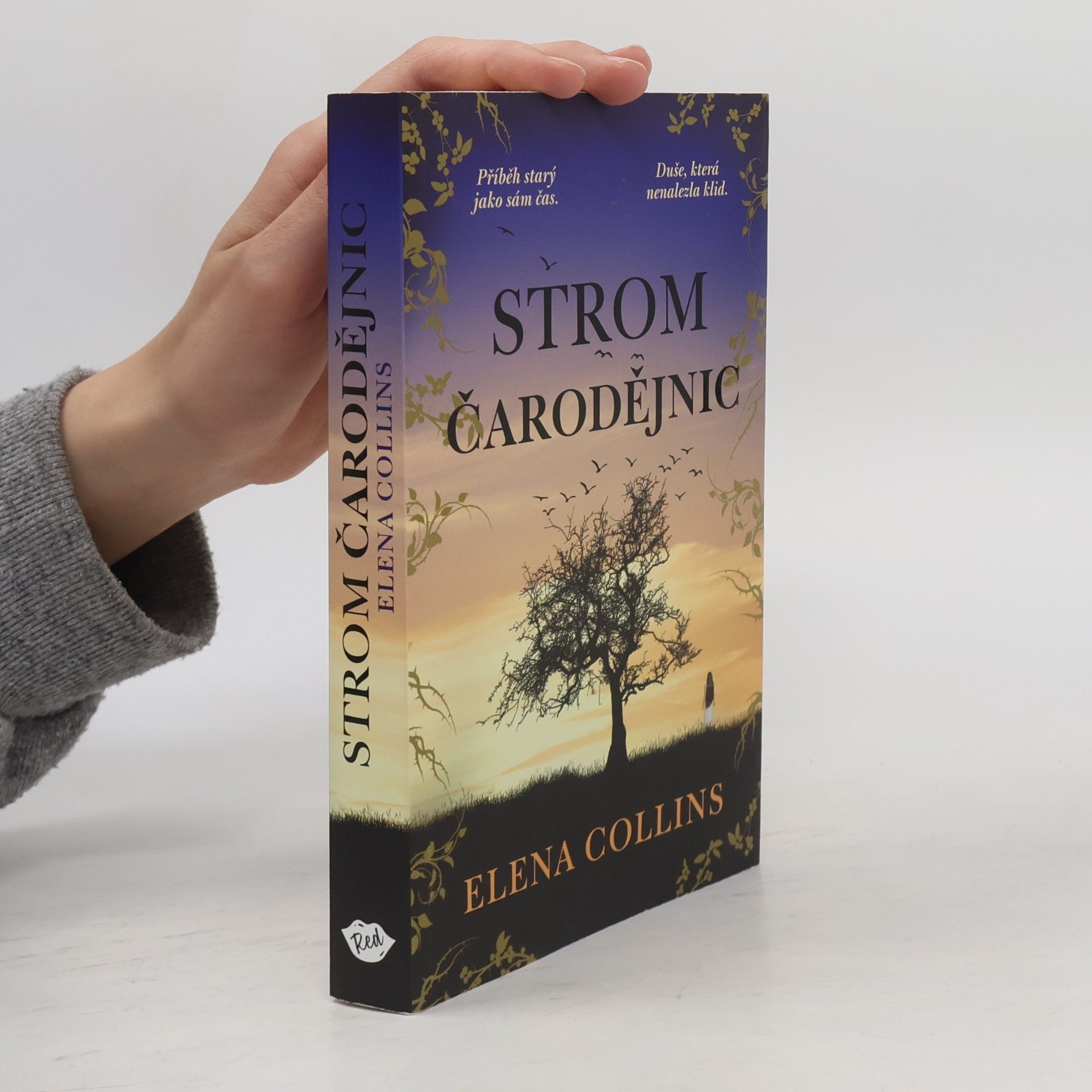 Jana Buchalová Strom čarodějnic