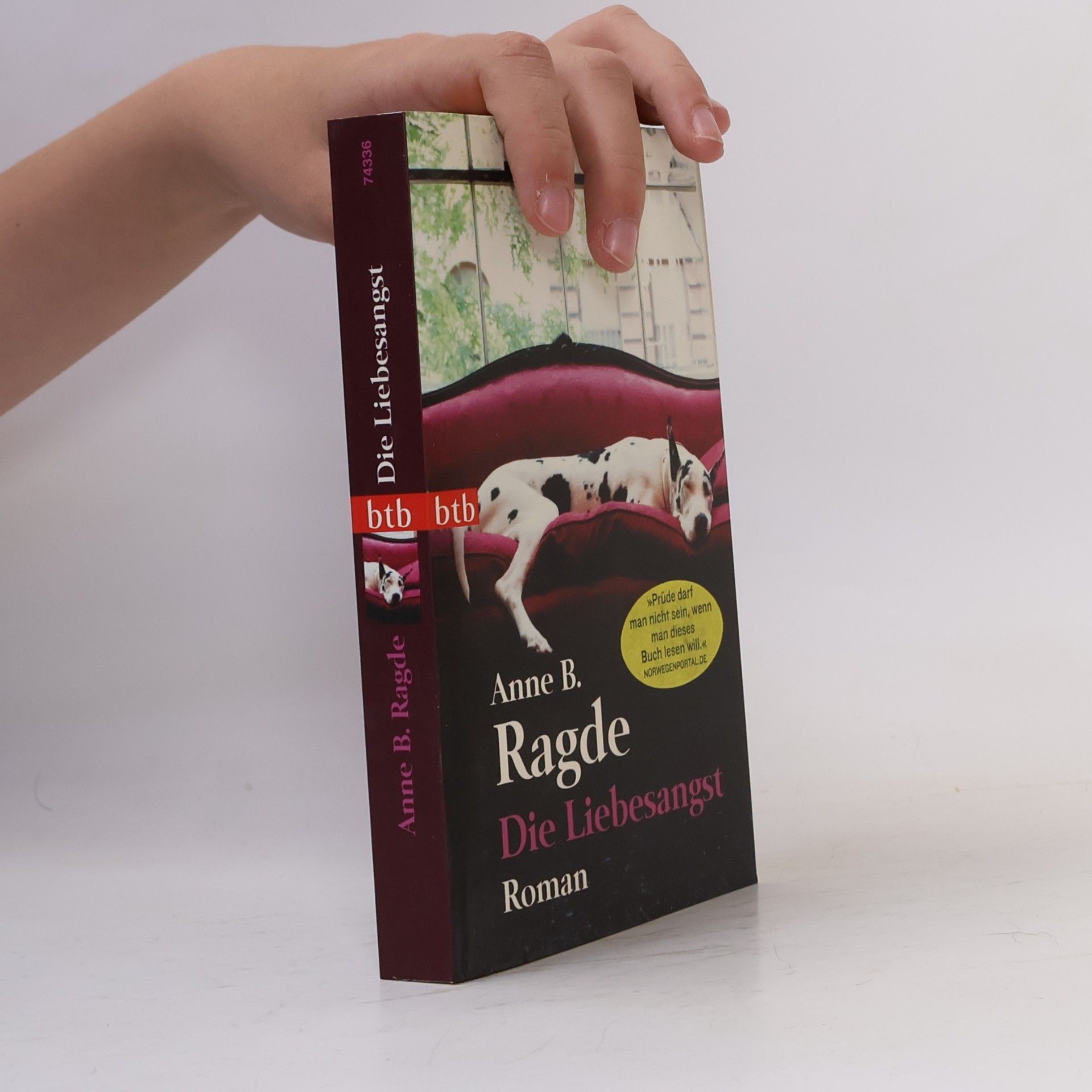 Anne B. Ragde Die Liebesangst