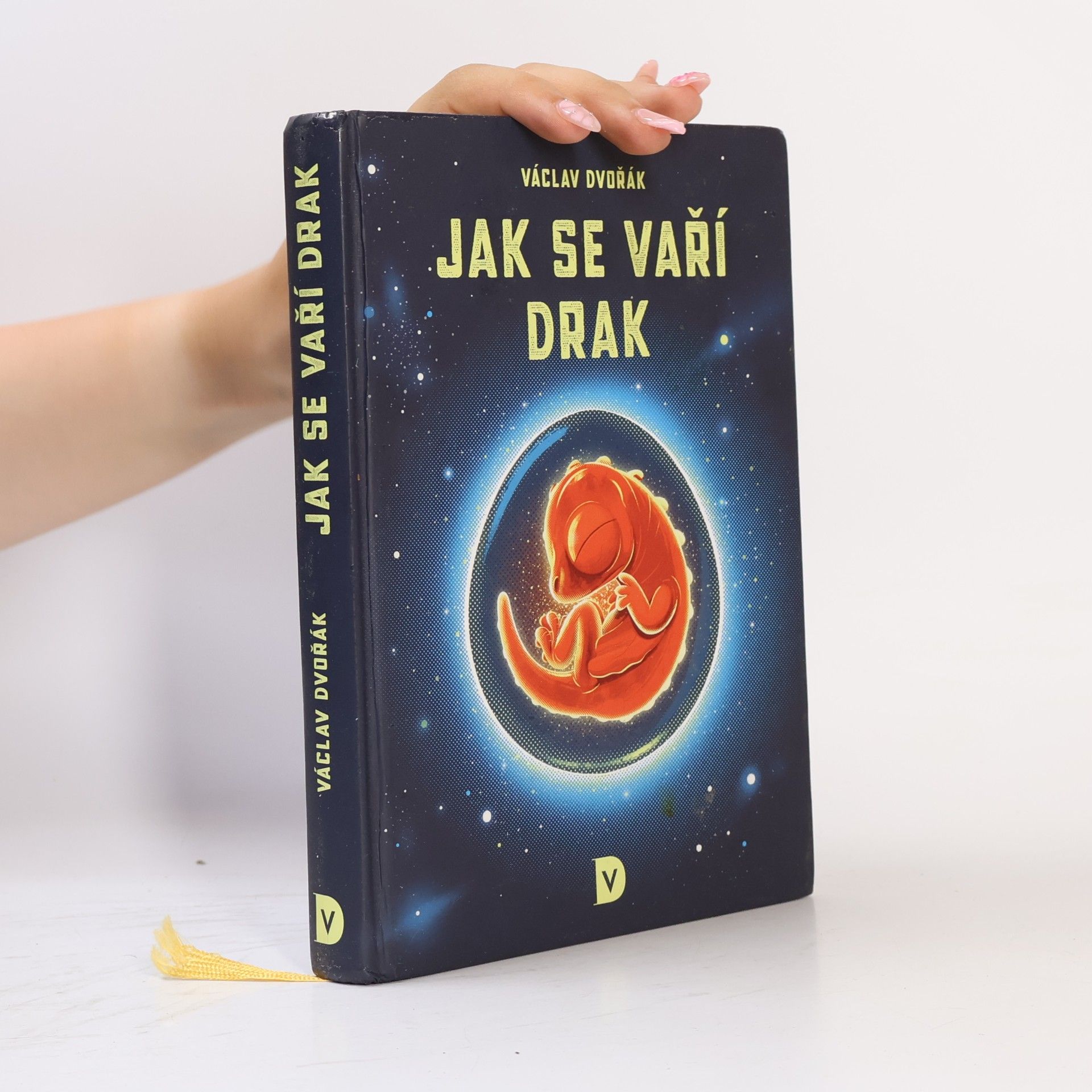 Václav Dvořák Jak se vaří drak