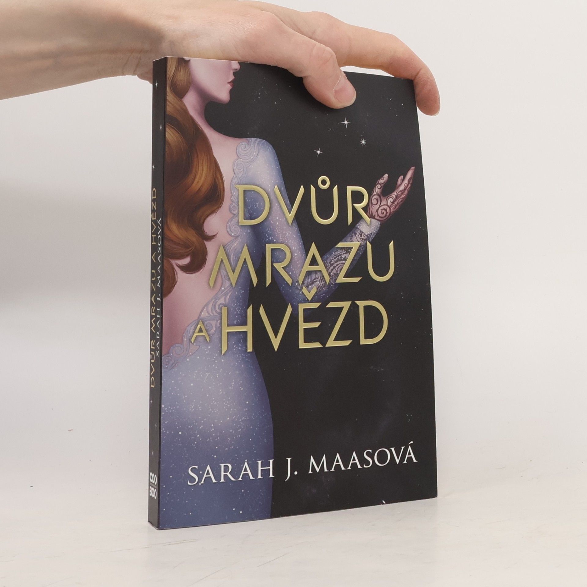 Sarah J. Maas Dvůr mrazu a hvězd