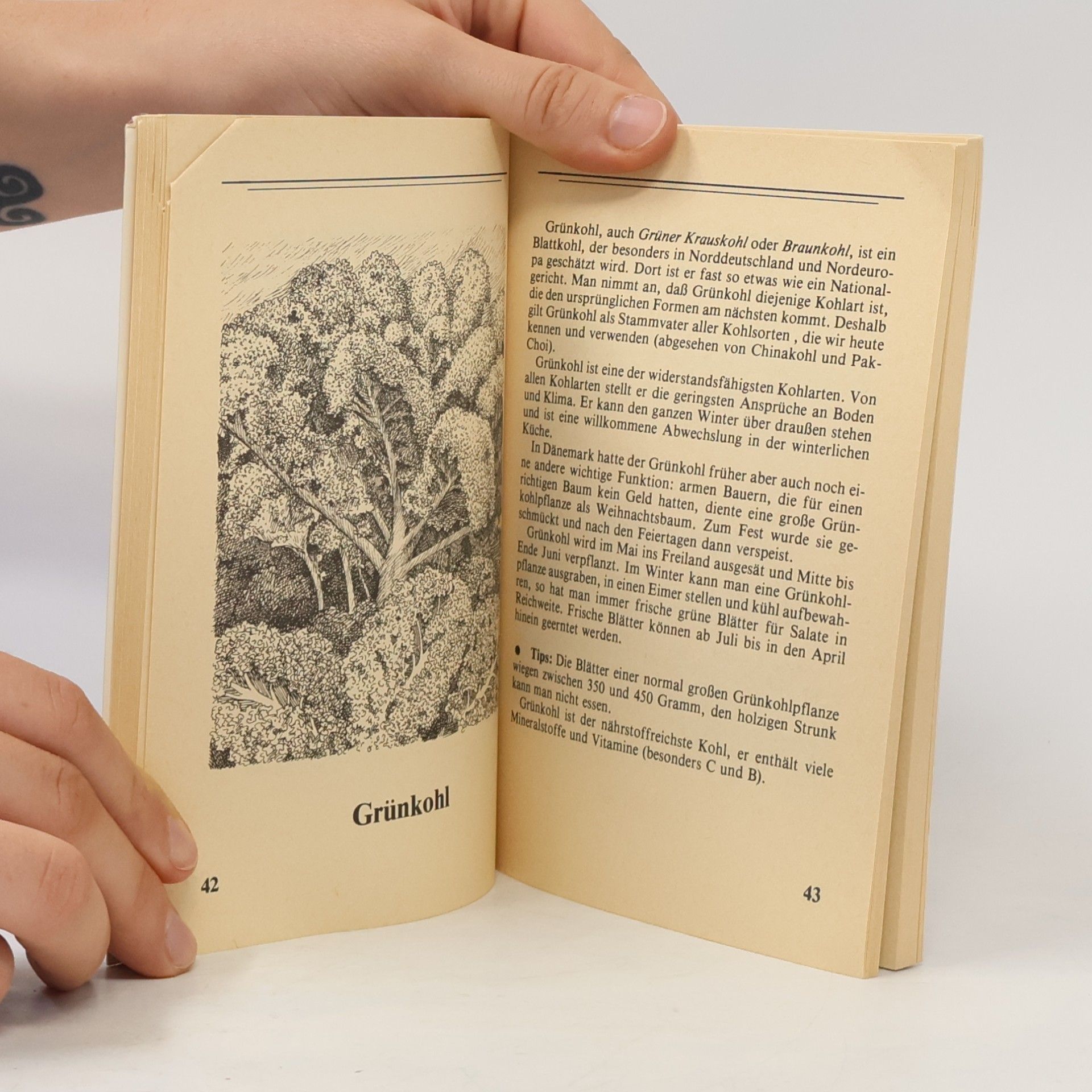 Anemette Olesen Das Kohlkochbuch