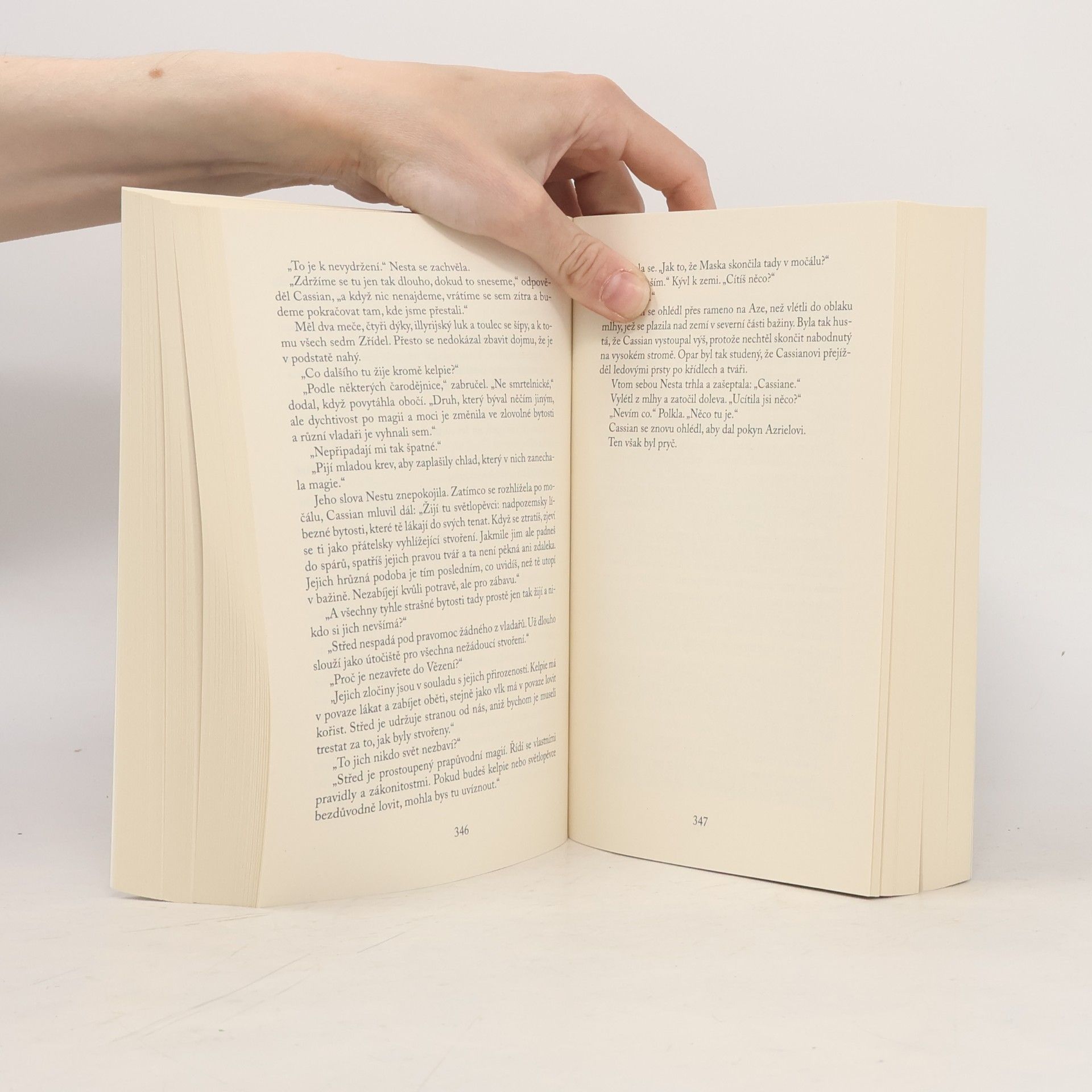 Sarah J. Maas Dvůr stříbrných plamenů