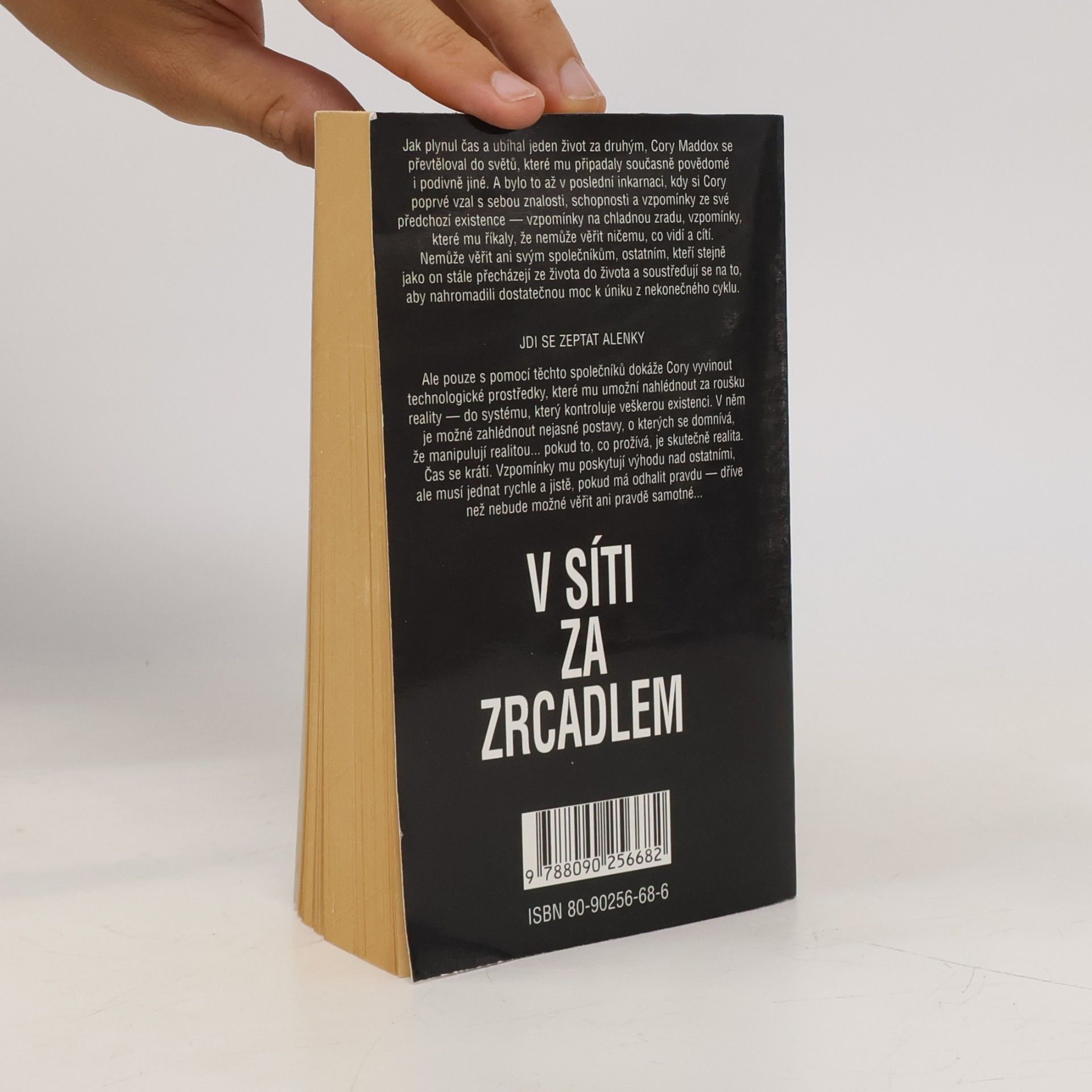 Jack L. Chalker V síti za zrcadlem