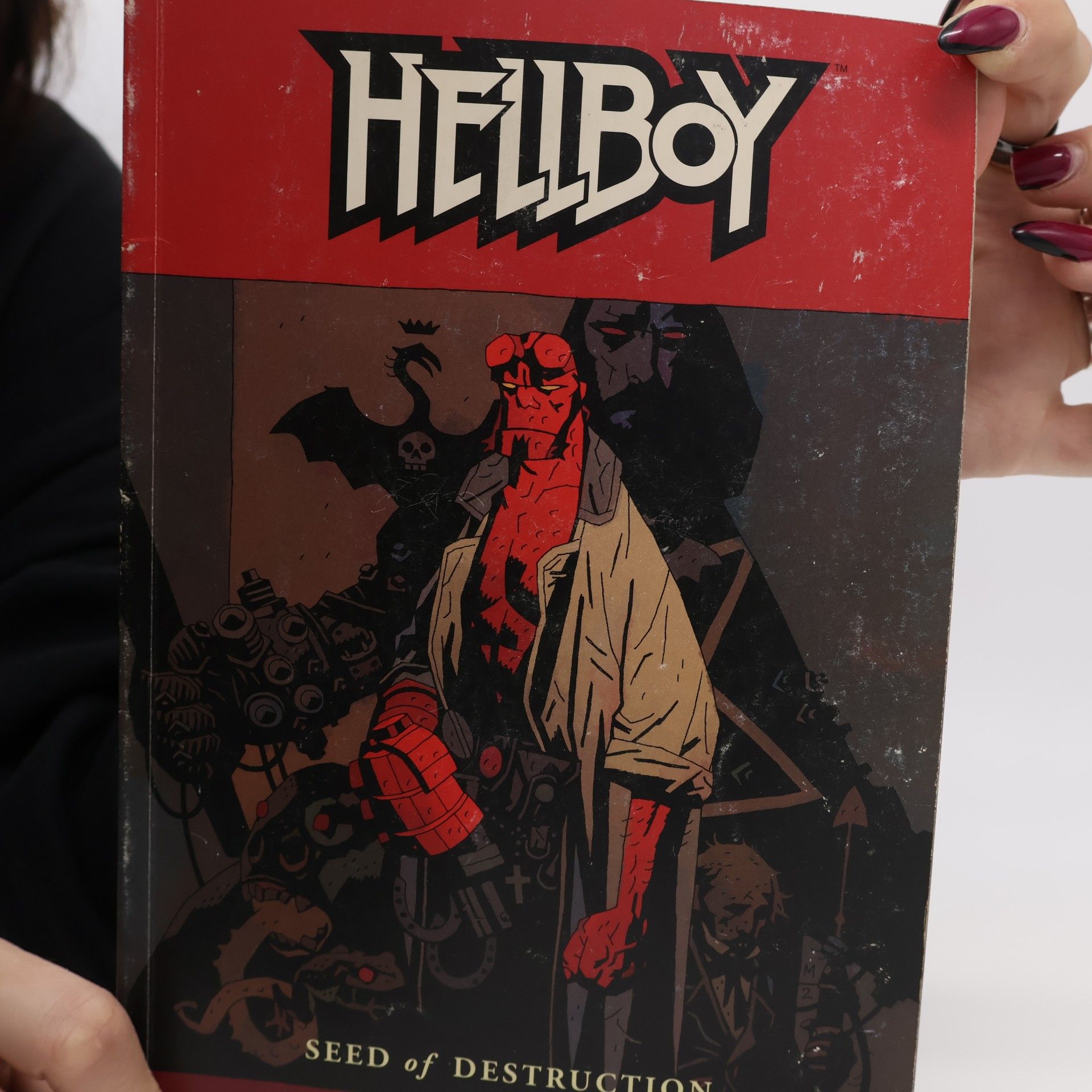 Mike Mignola Hellboy Volume 1: Seed of Destruction
