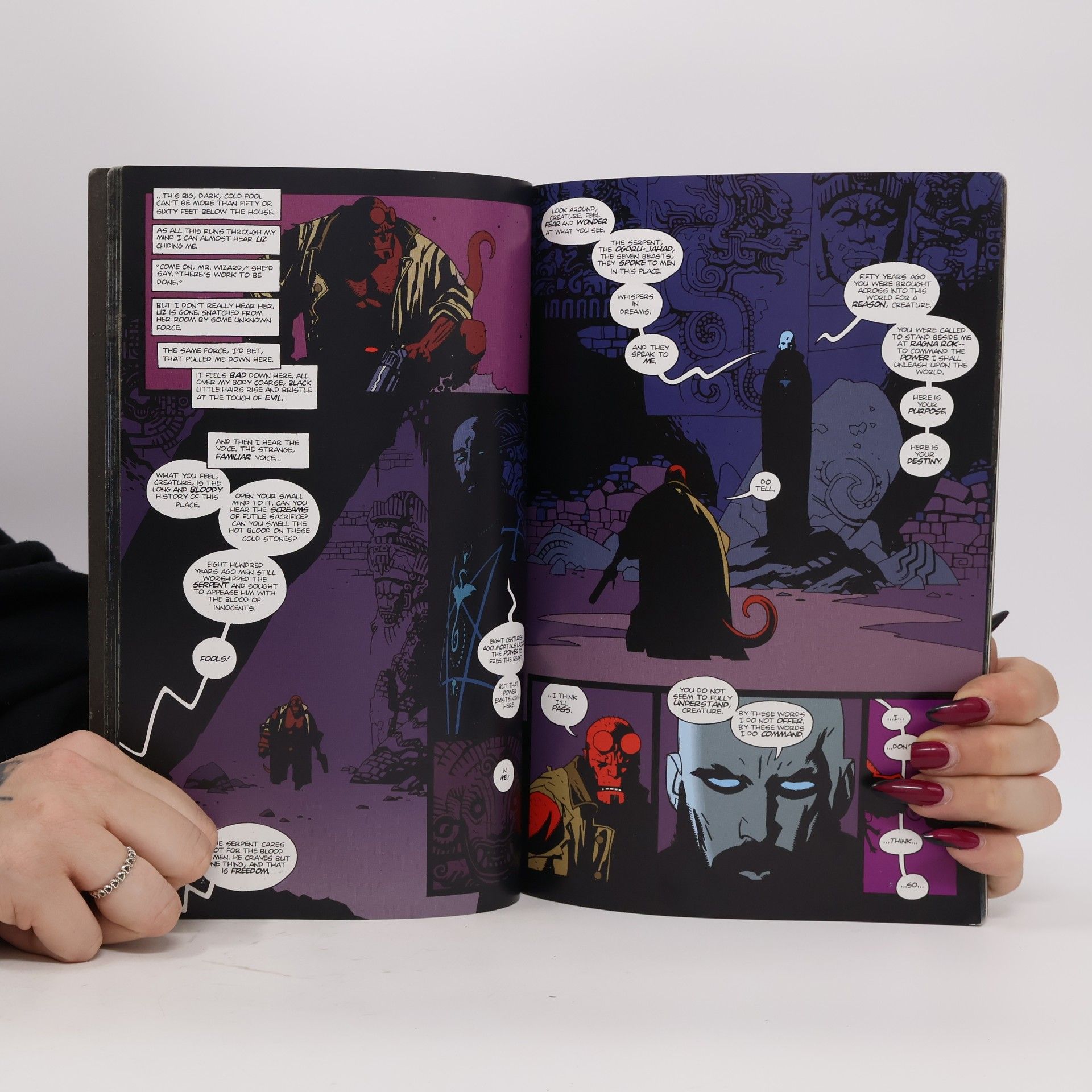 Mike Mignola Hellboy Volume 1: Seed of Destruction