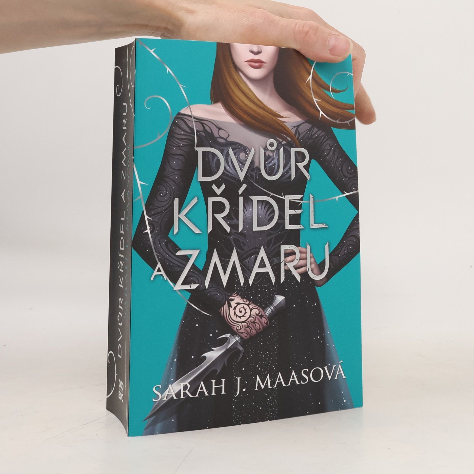 Sarah J. Maas Dvůr křídel a zmaru