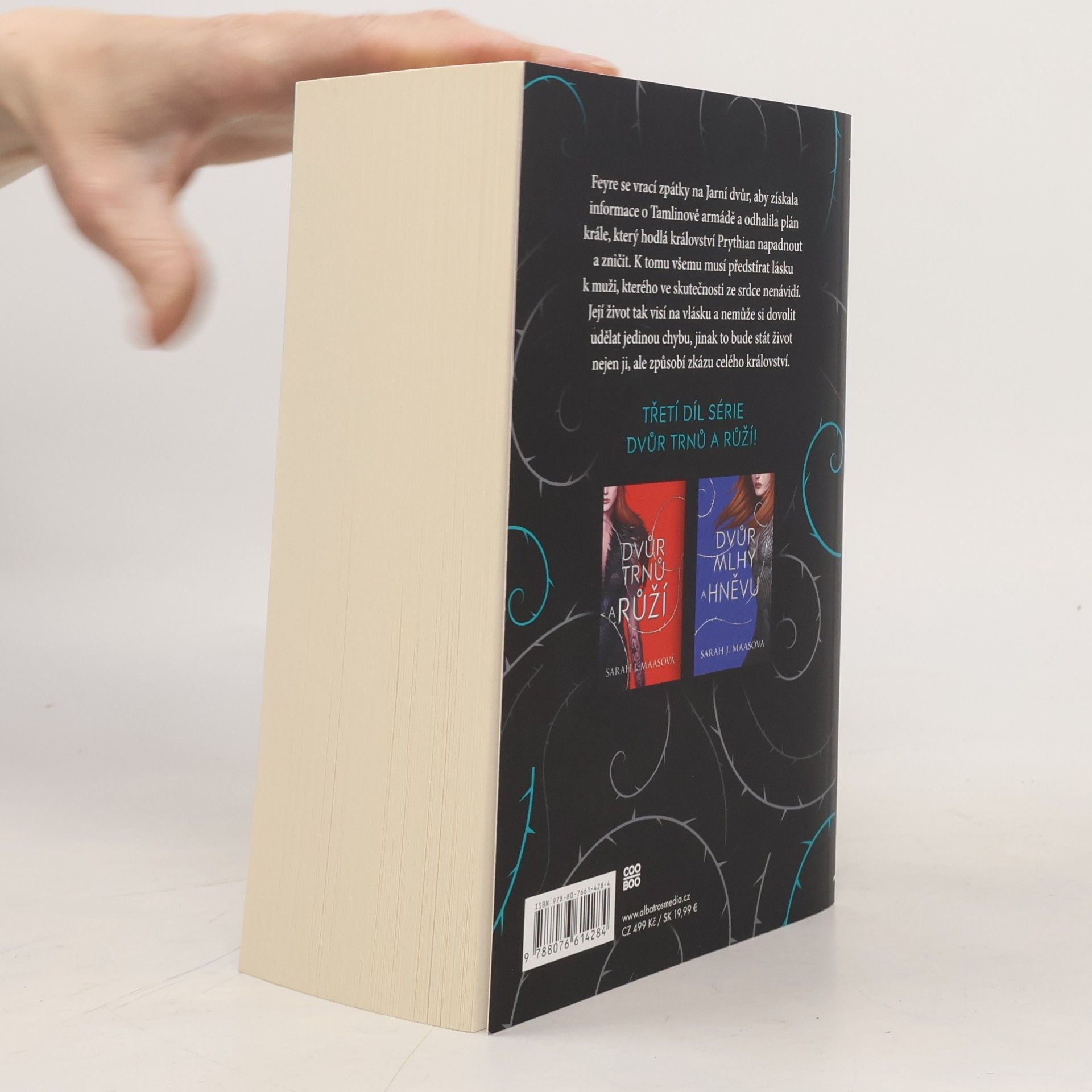 Sarah J. Maas Dvůr křídel a zmaru