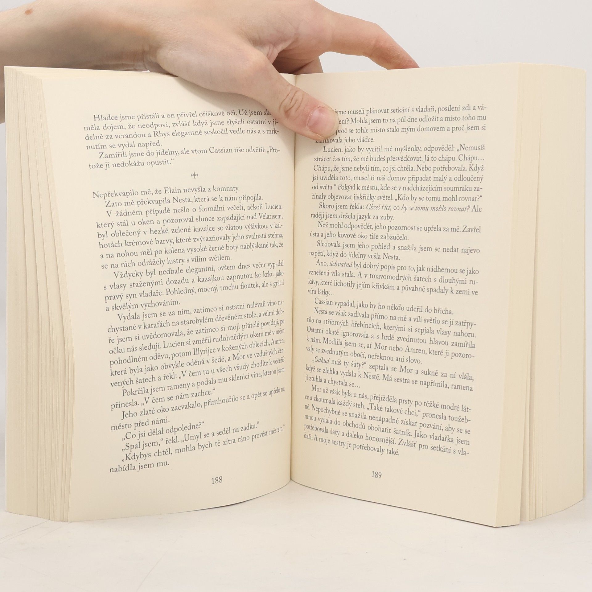 Sarah J. Maas Dvůr křídel a zmaru