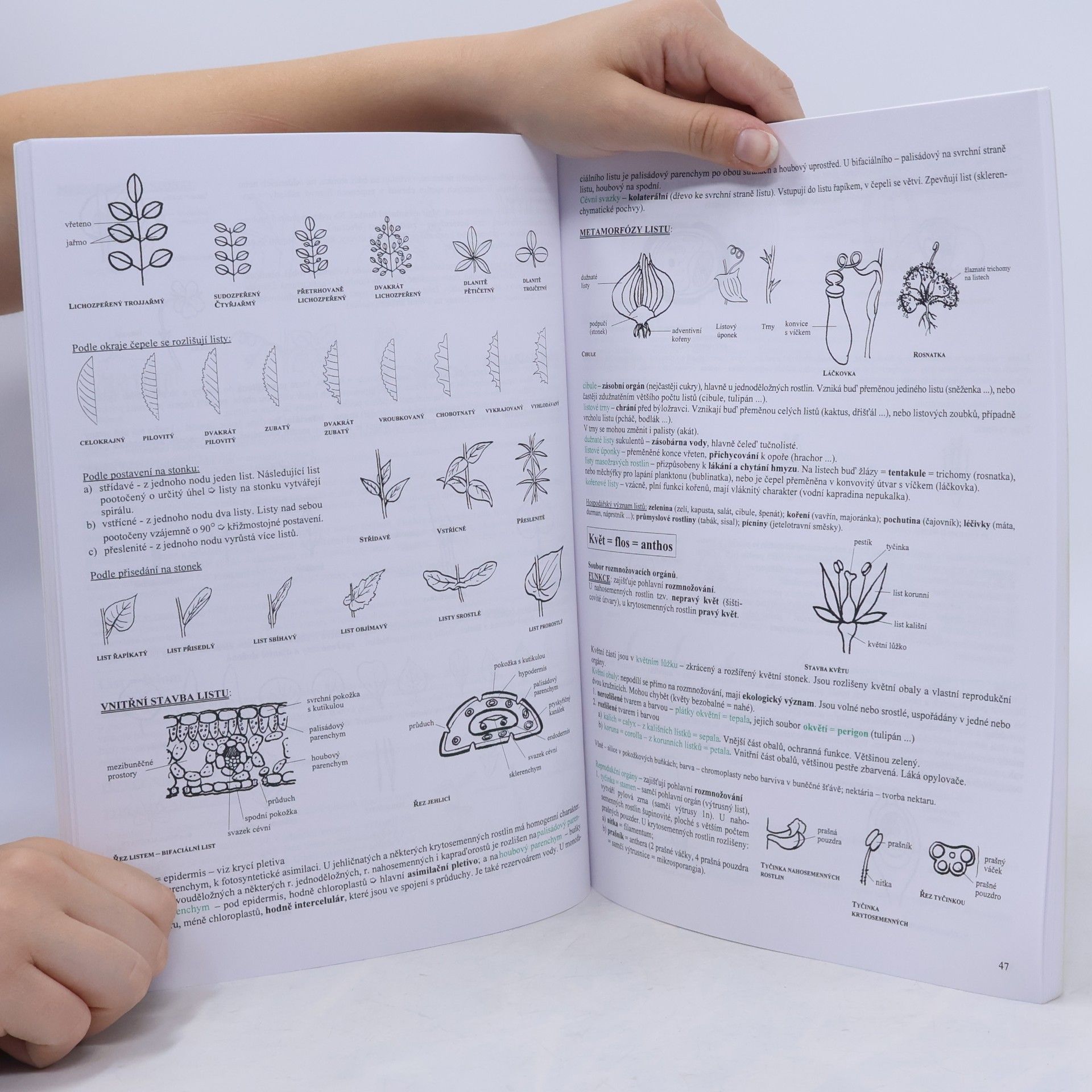 Hana Hančová Biologie v kostce. 1. díl