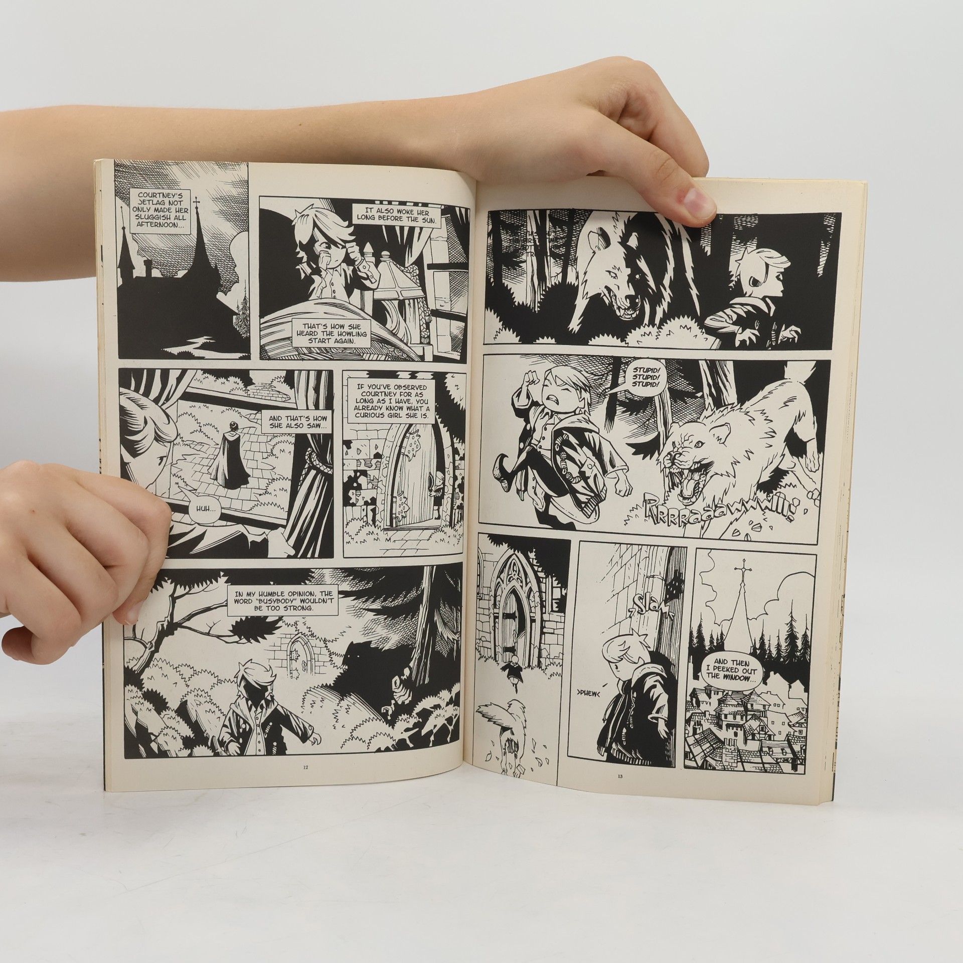 Ted Naifeh Courtney Crumrin and the Fire Thief's Tale