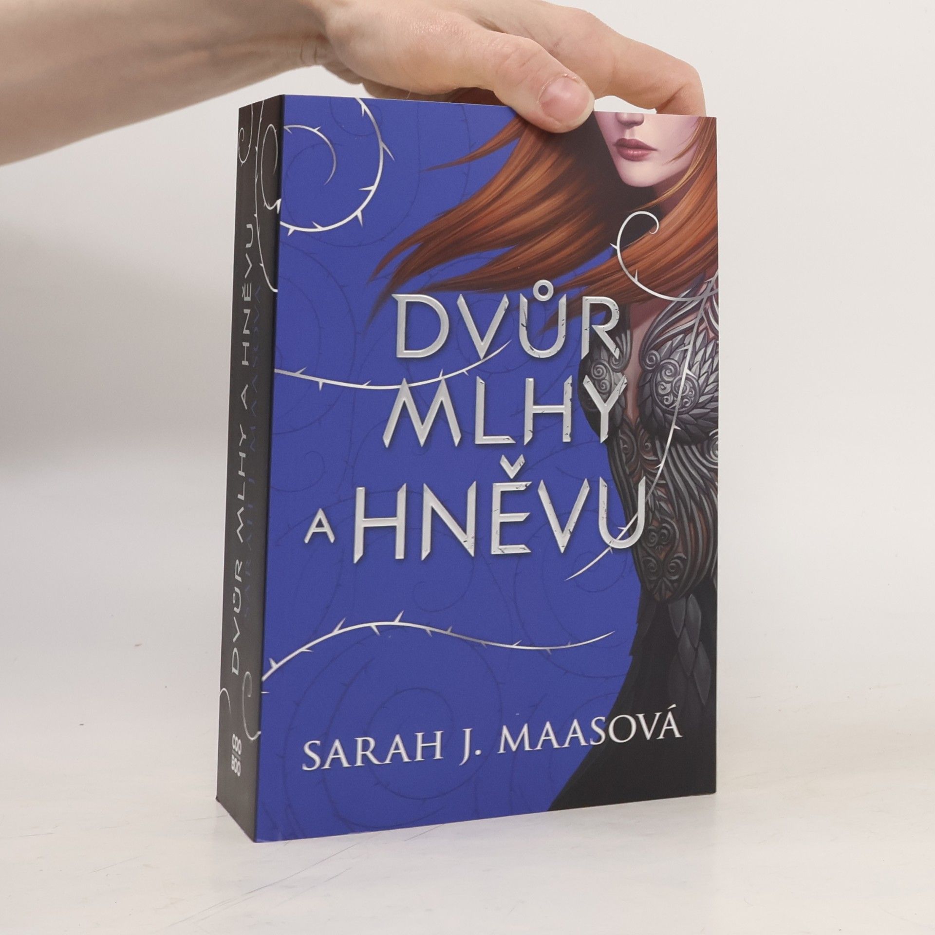 Sarah J. Maas Dvůr mlhy a hněvu