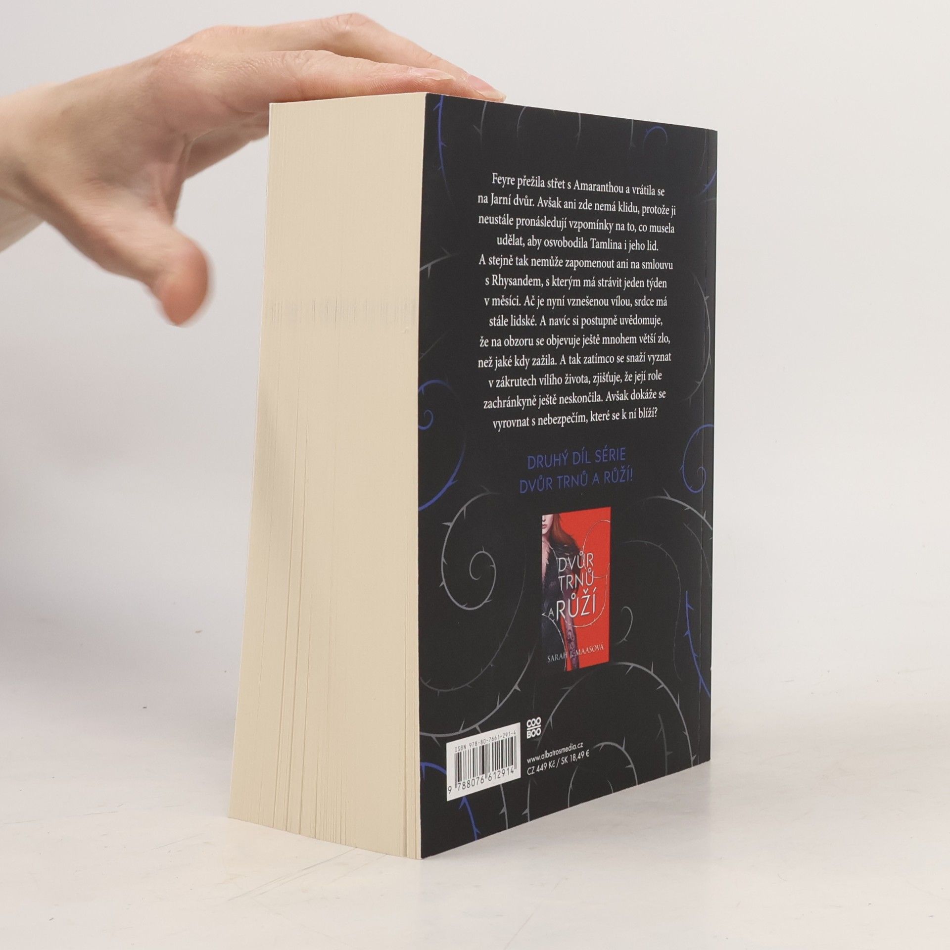 Sarah J. Maas Dvůr mlhy a hněvu