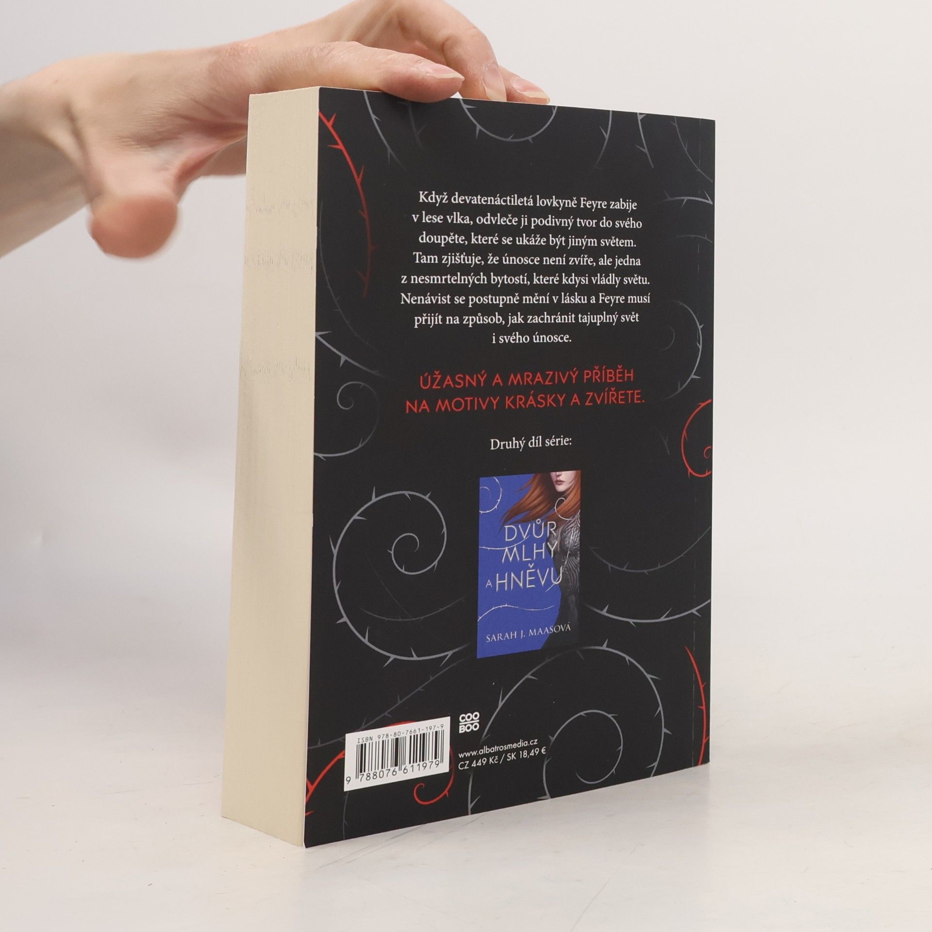 Sarah J. Maas Dvůr trnů a růží