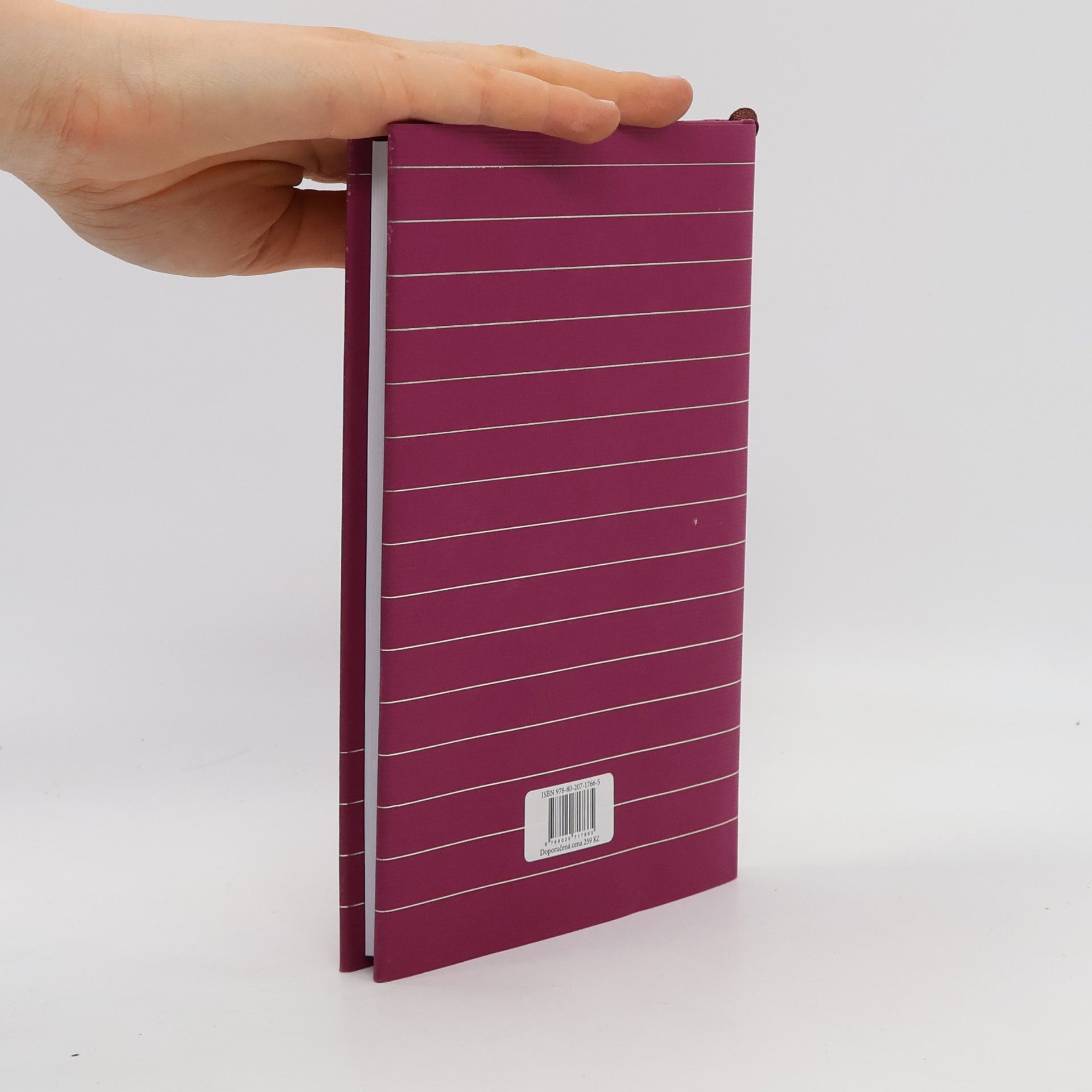 Johann Wolfgang von Goethe Utrpení mladého Werthera
